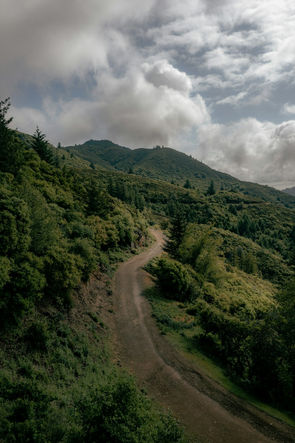 a dirt road in the middle of a lush green hillside