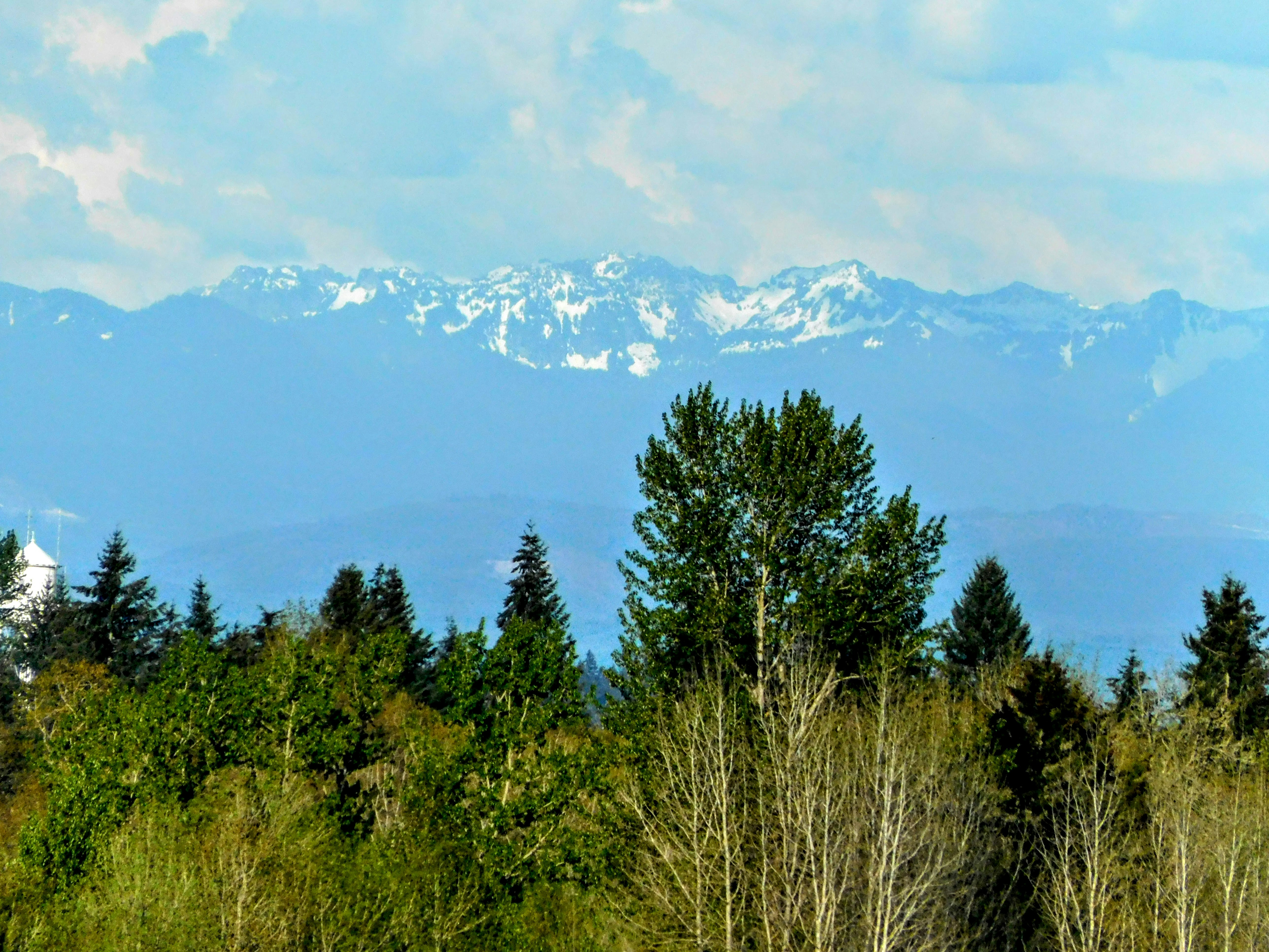 Photo by prphotography262