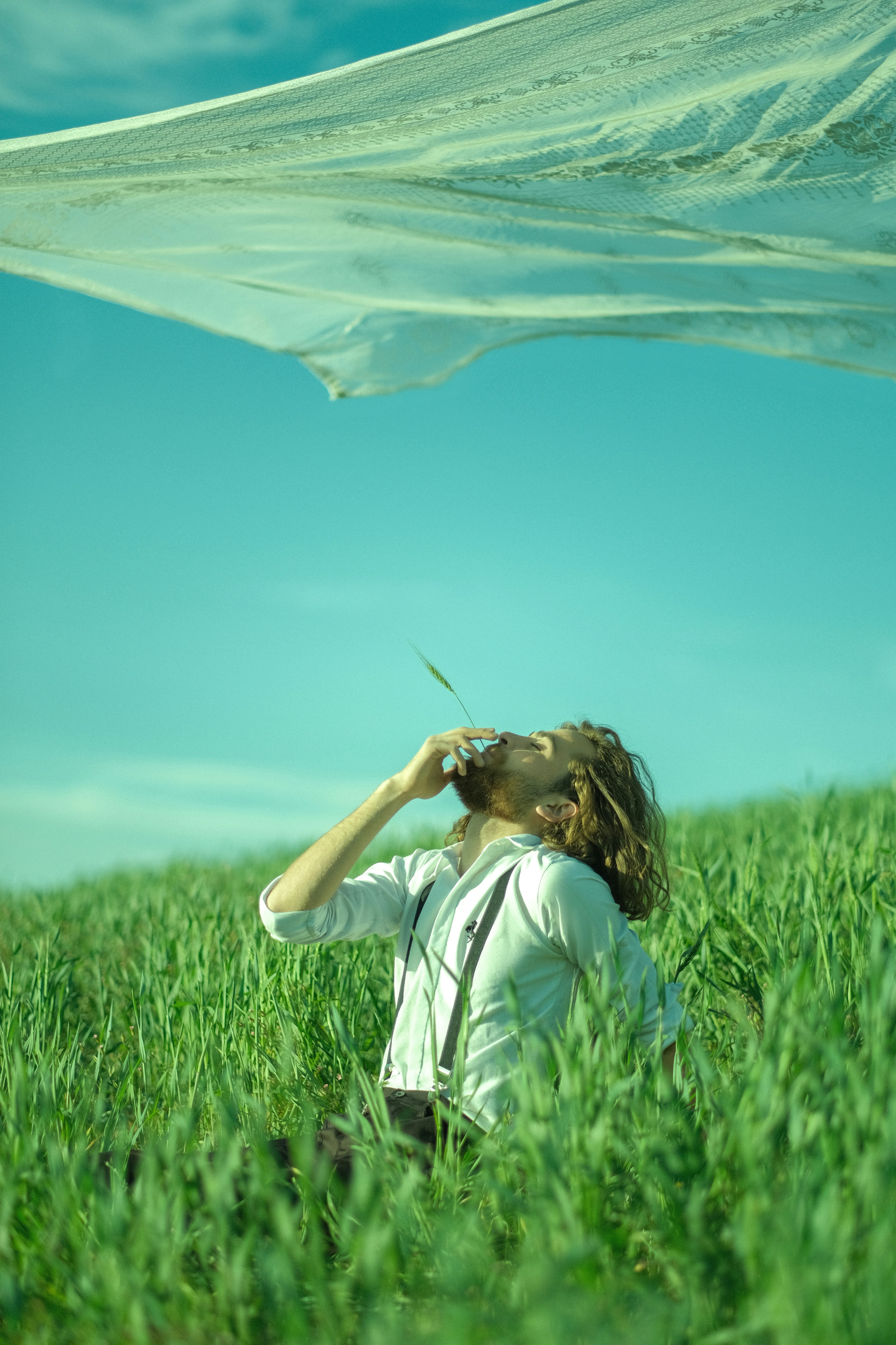 Photo by alikarimibn