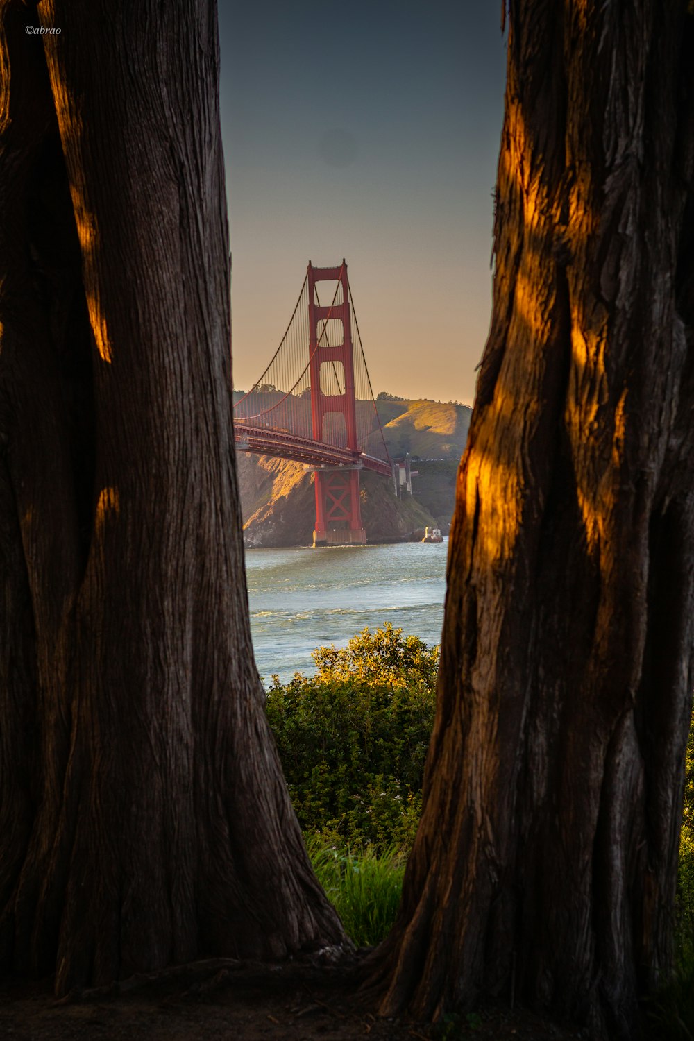 a view of the golden gate bridge through two trees
