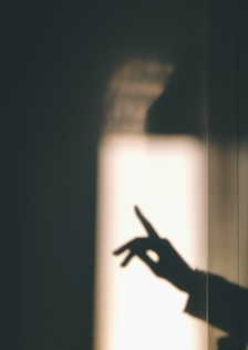 shadow work coach