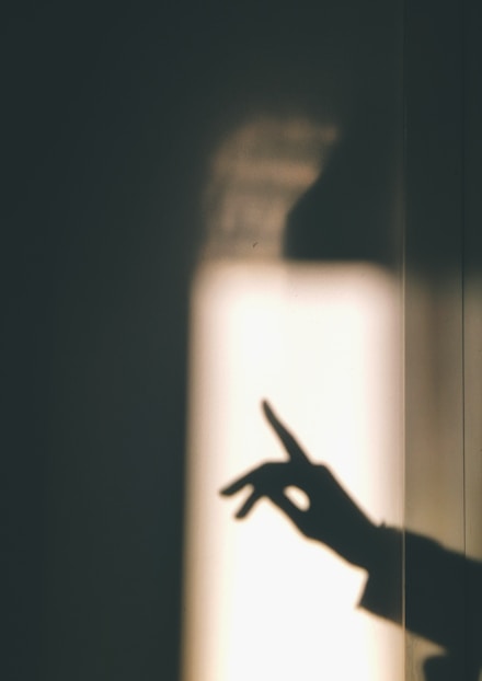 shadow work coach