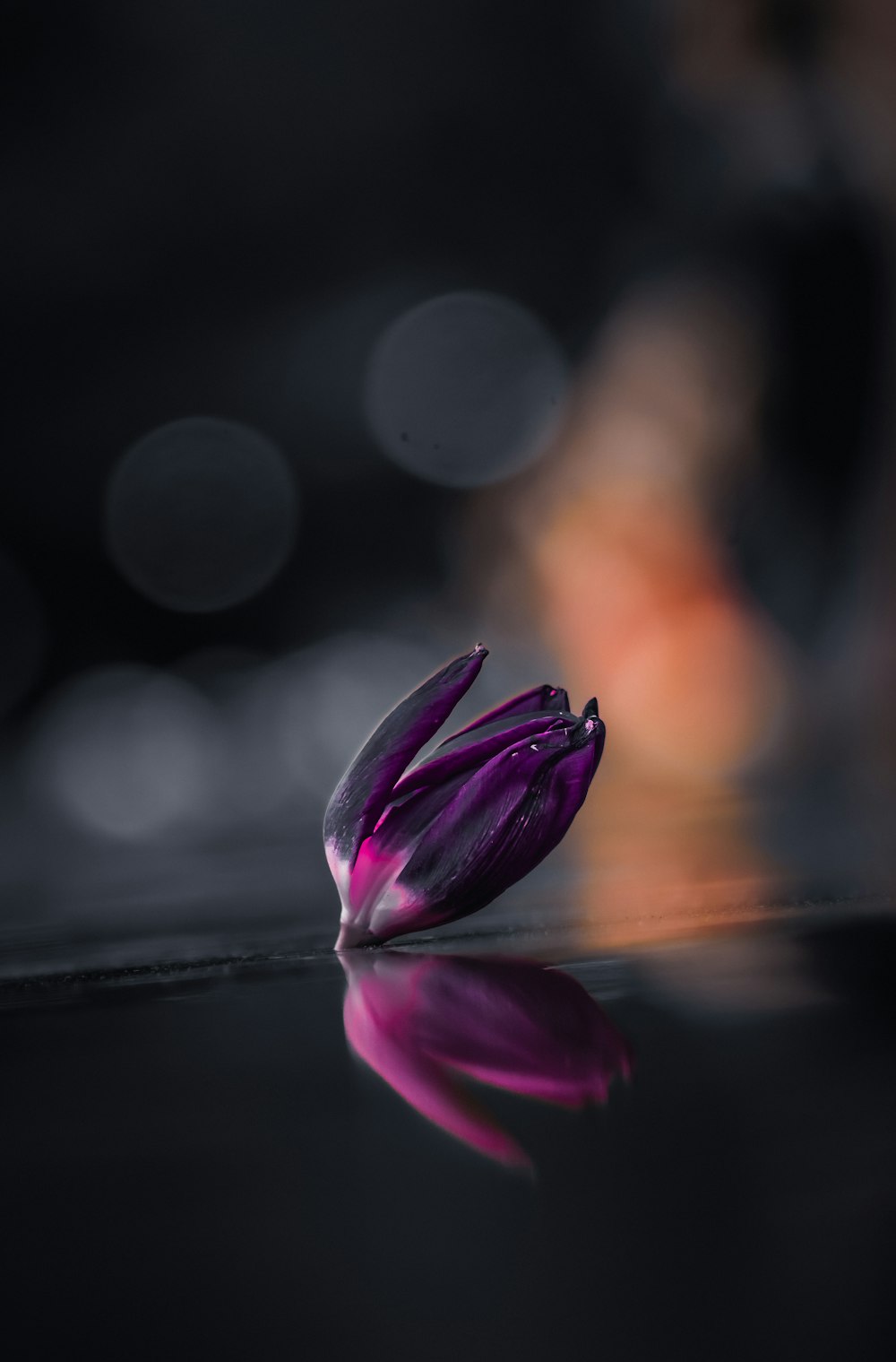 a purple flower sitting on top of a table