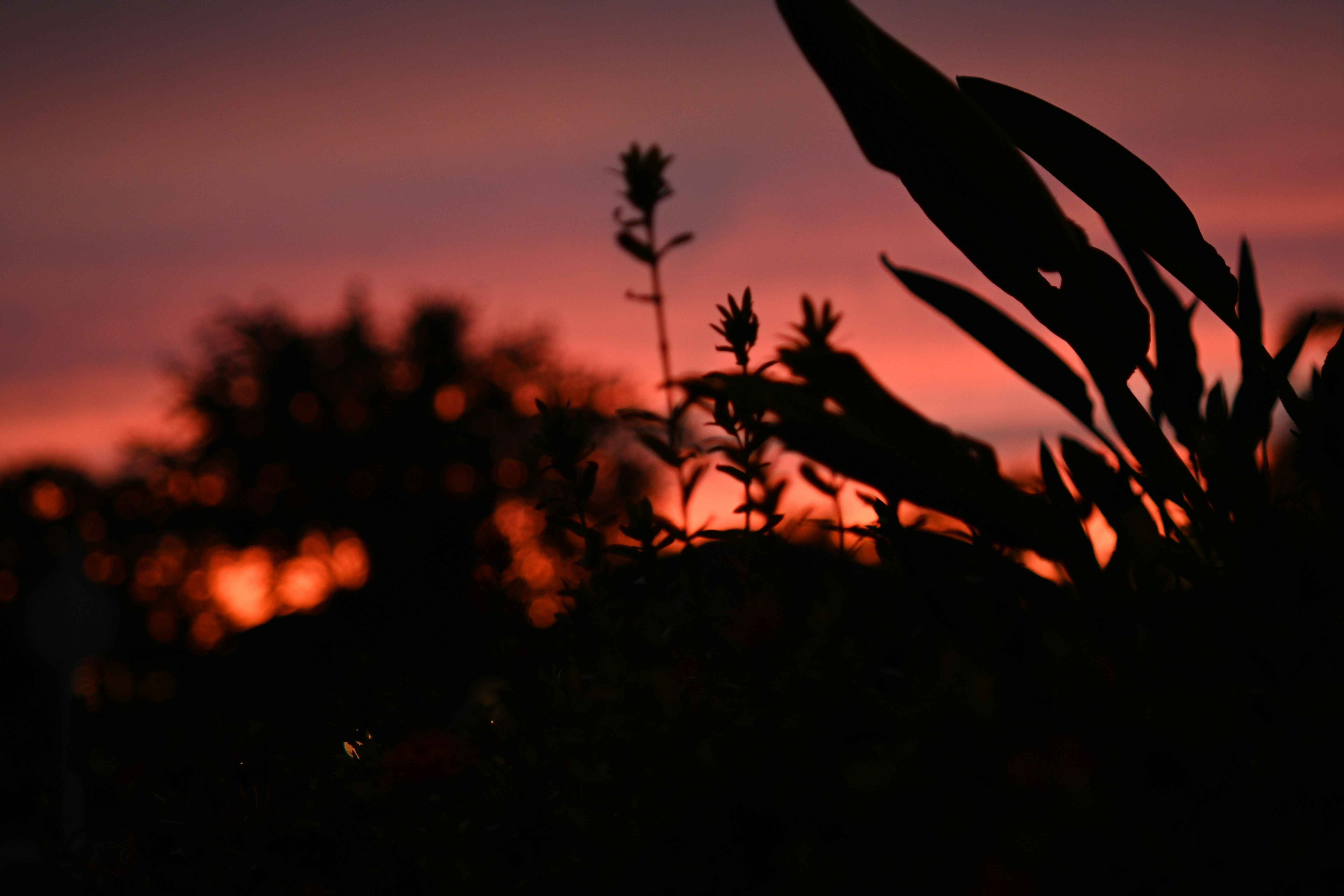 Photo by orantescreate