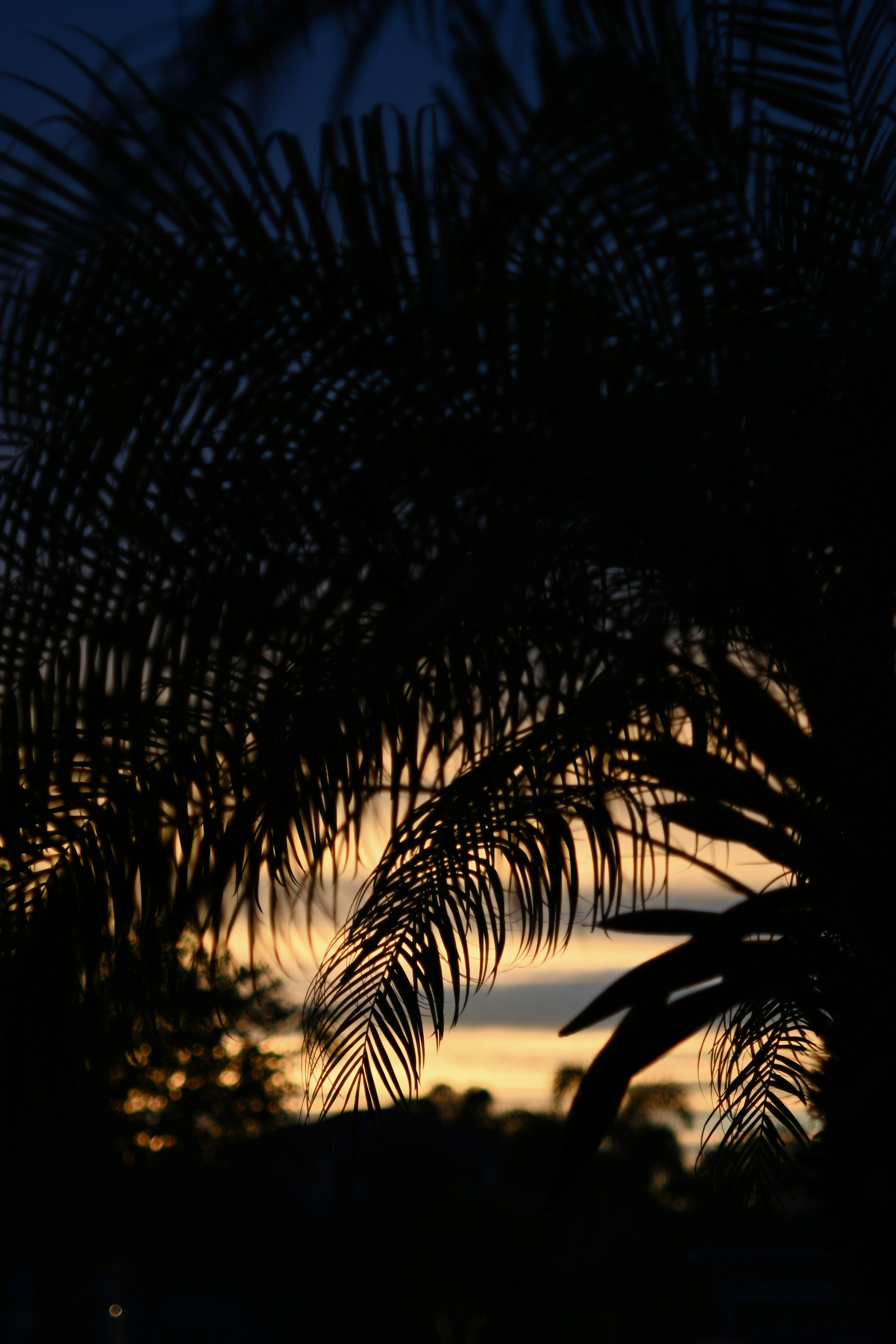 Photo by orantescreate