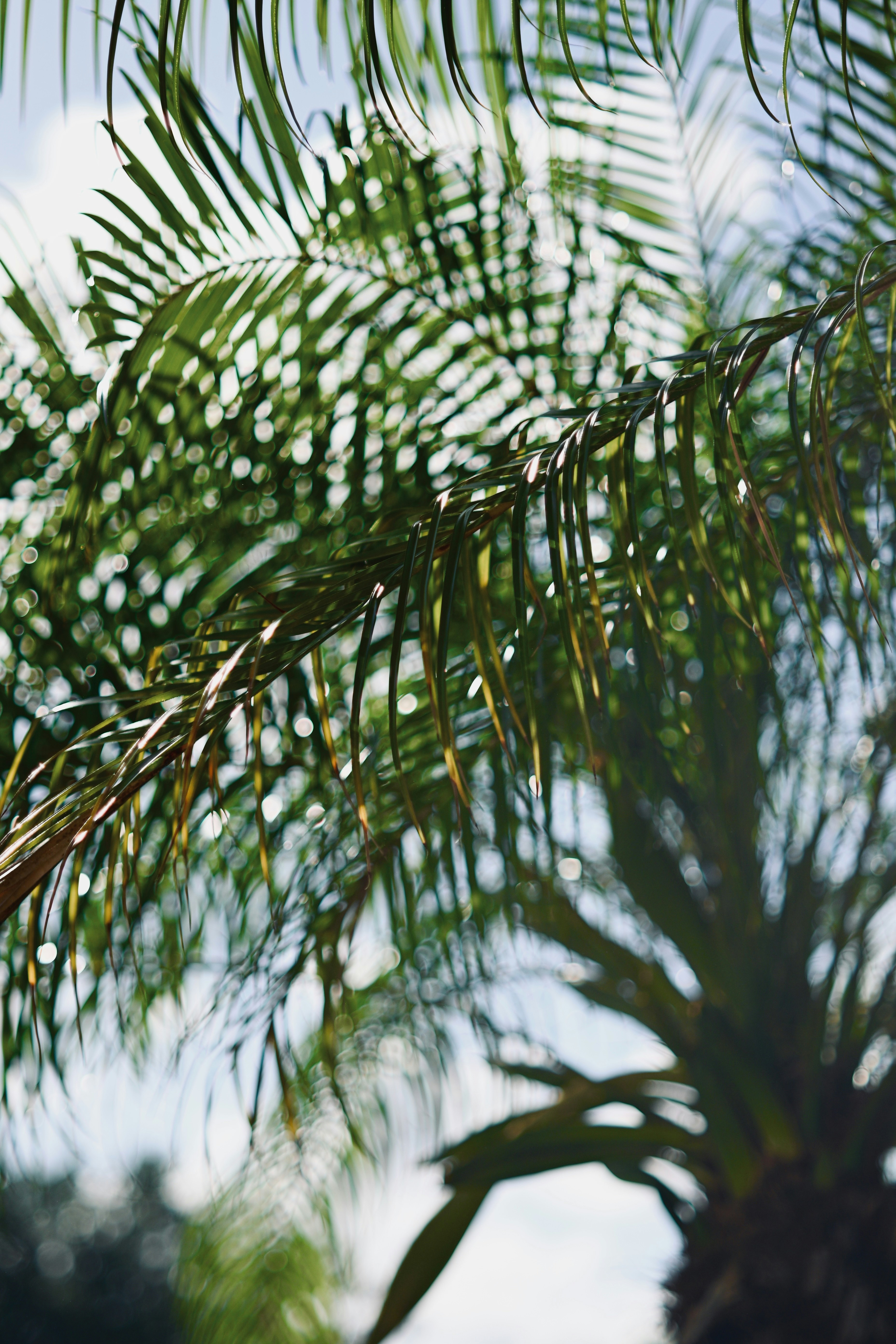 Photo by orantescreate