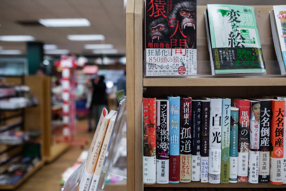 Bookshelf filled with novels