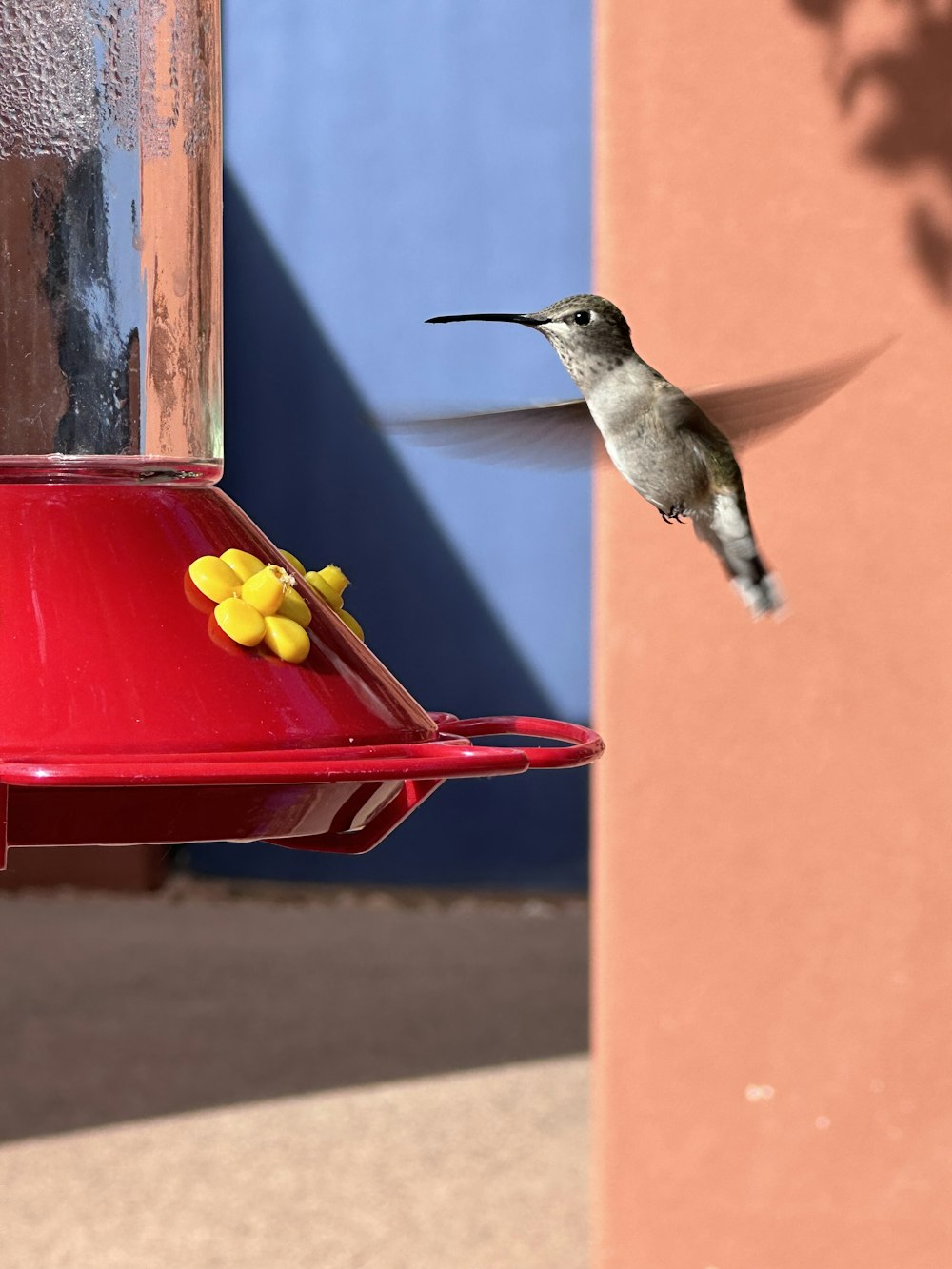 a hummingbird flying towards a red bird feeder