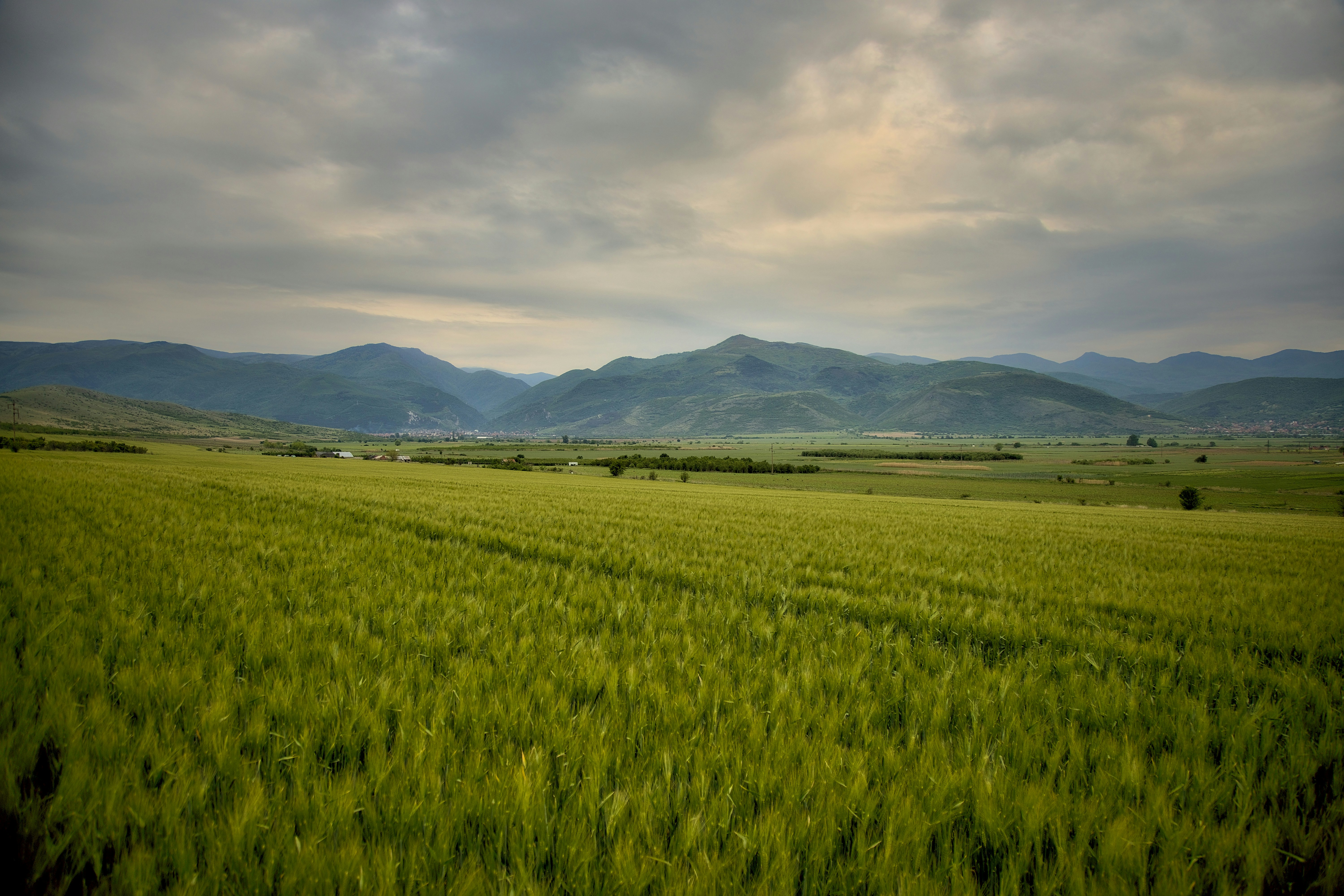 Photo by blooddrainer