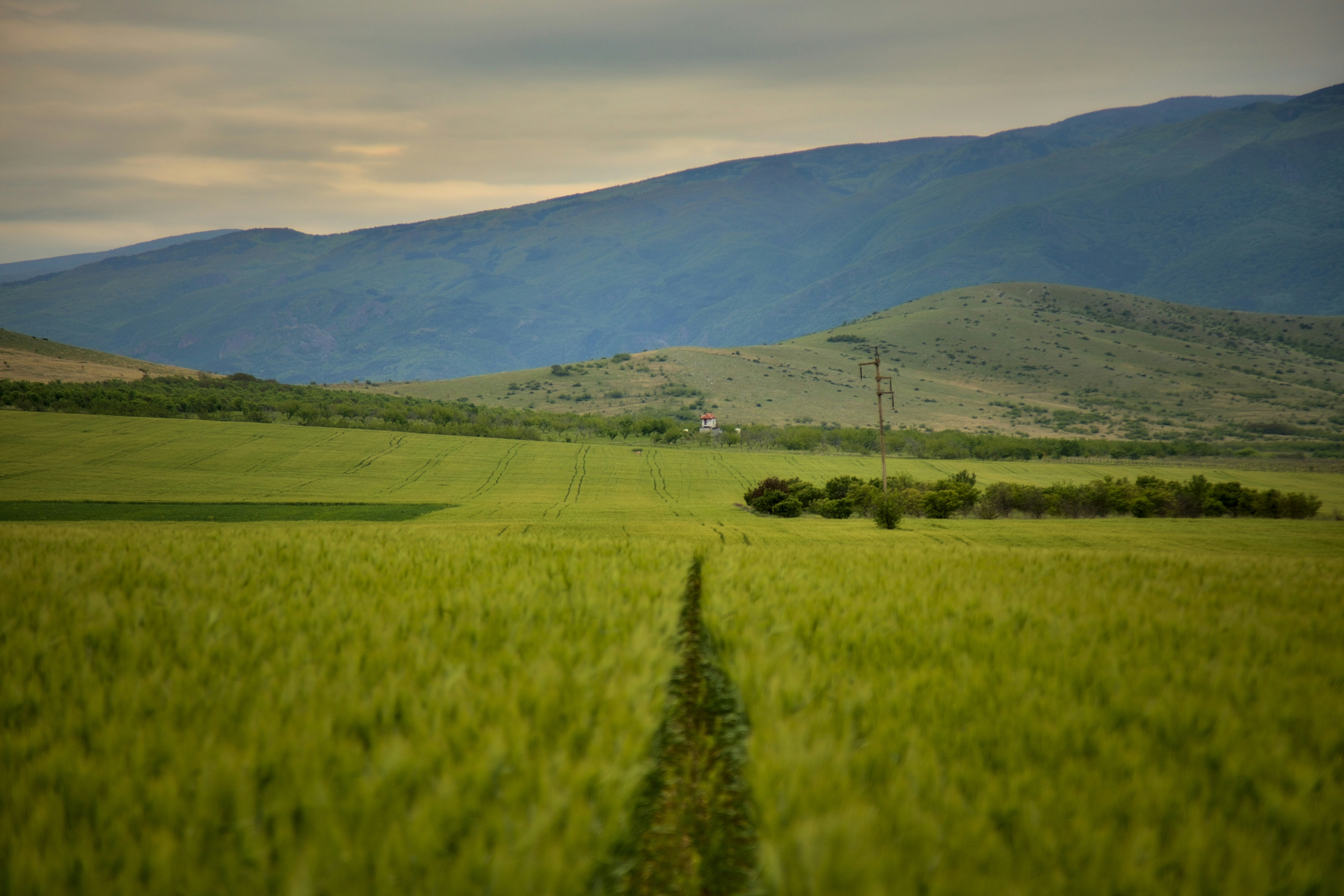 Photo by blooddrainer