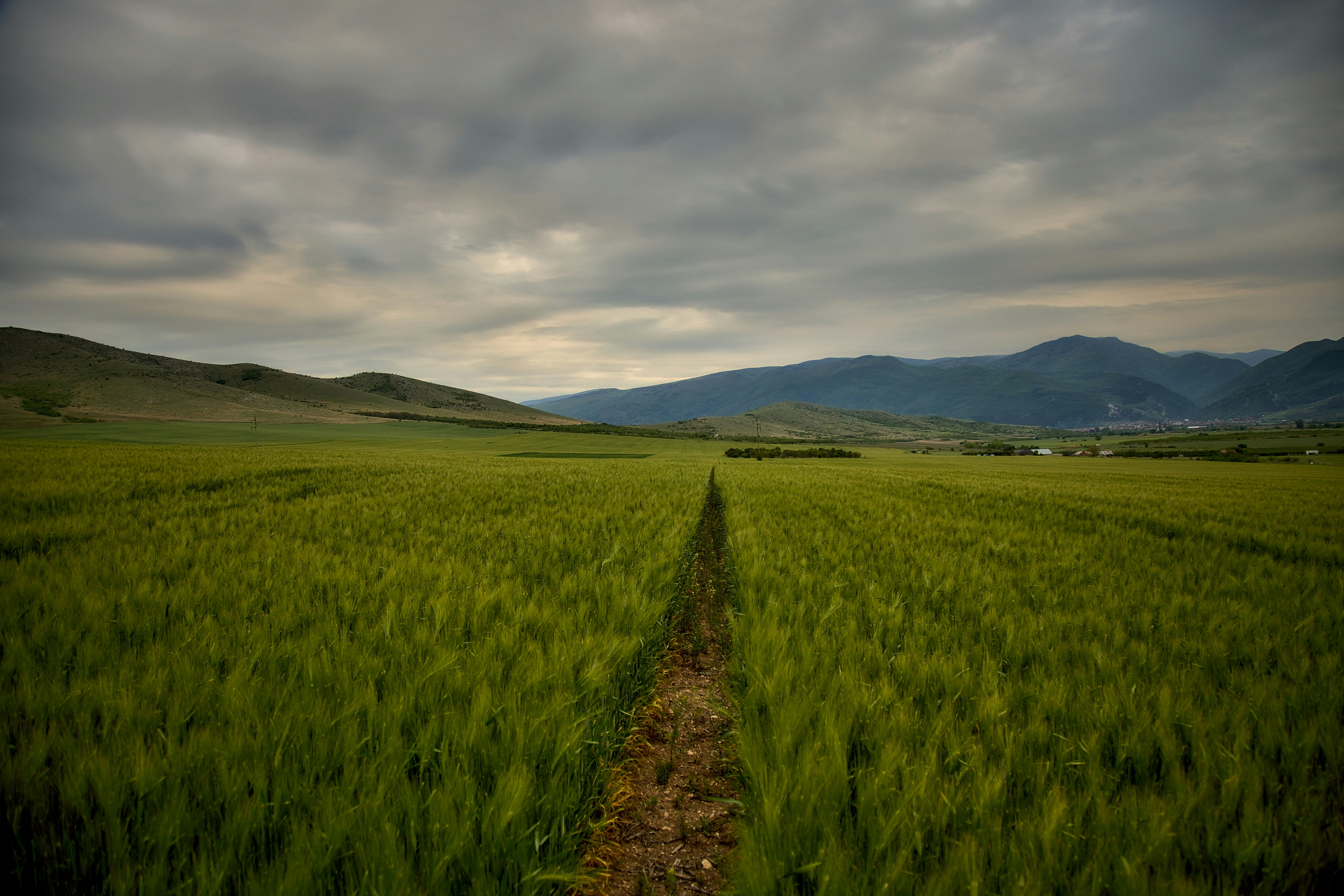 Photo by blooddrainer