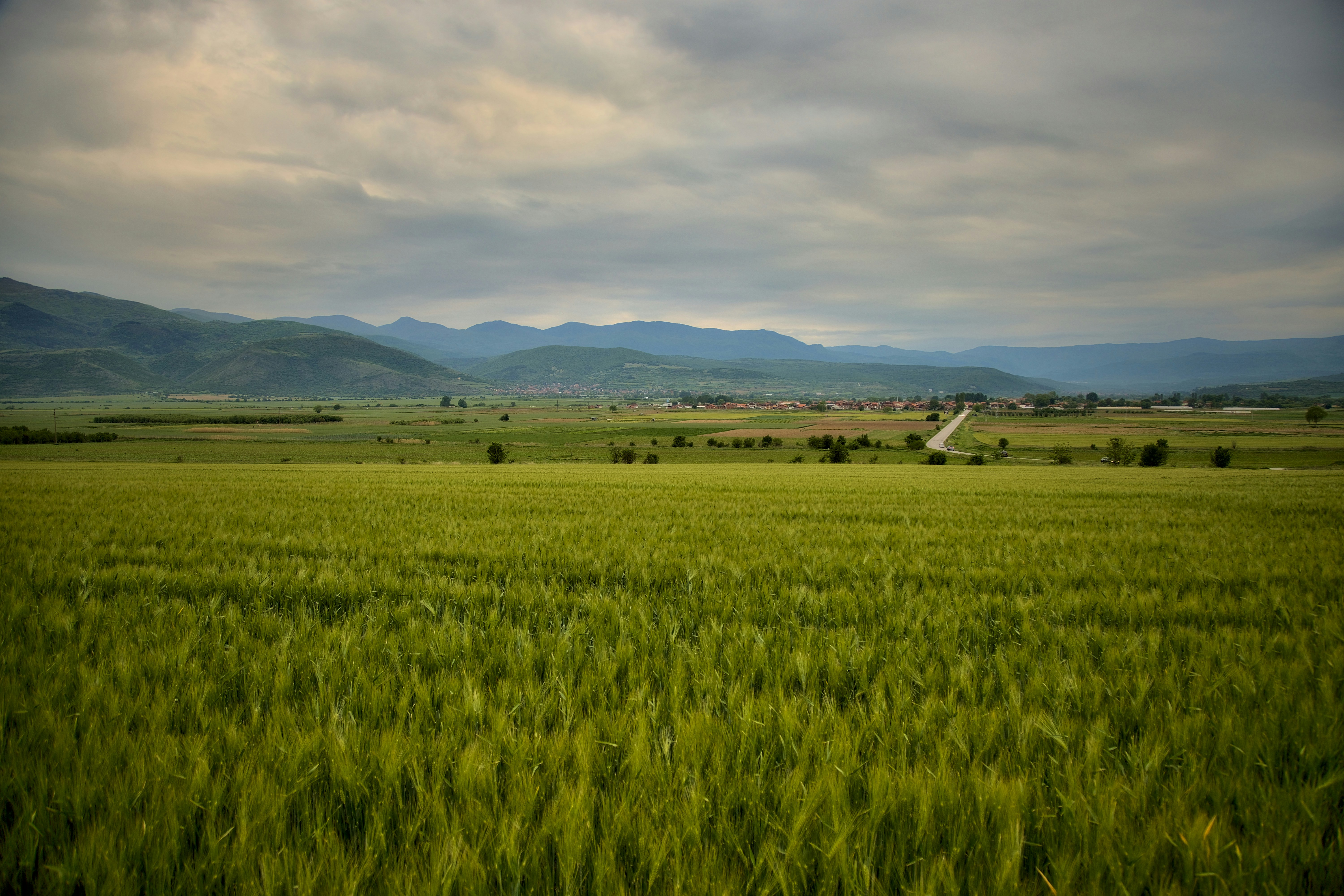 Photo by blooddrainer