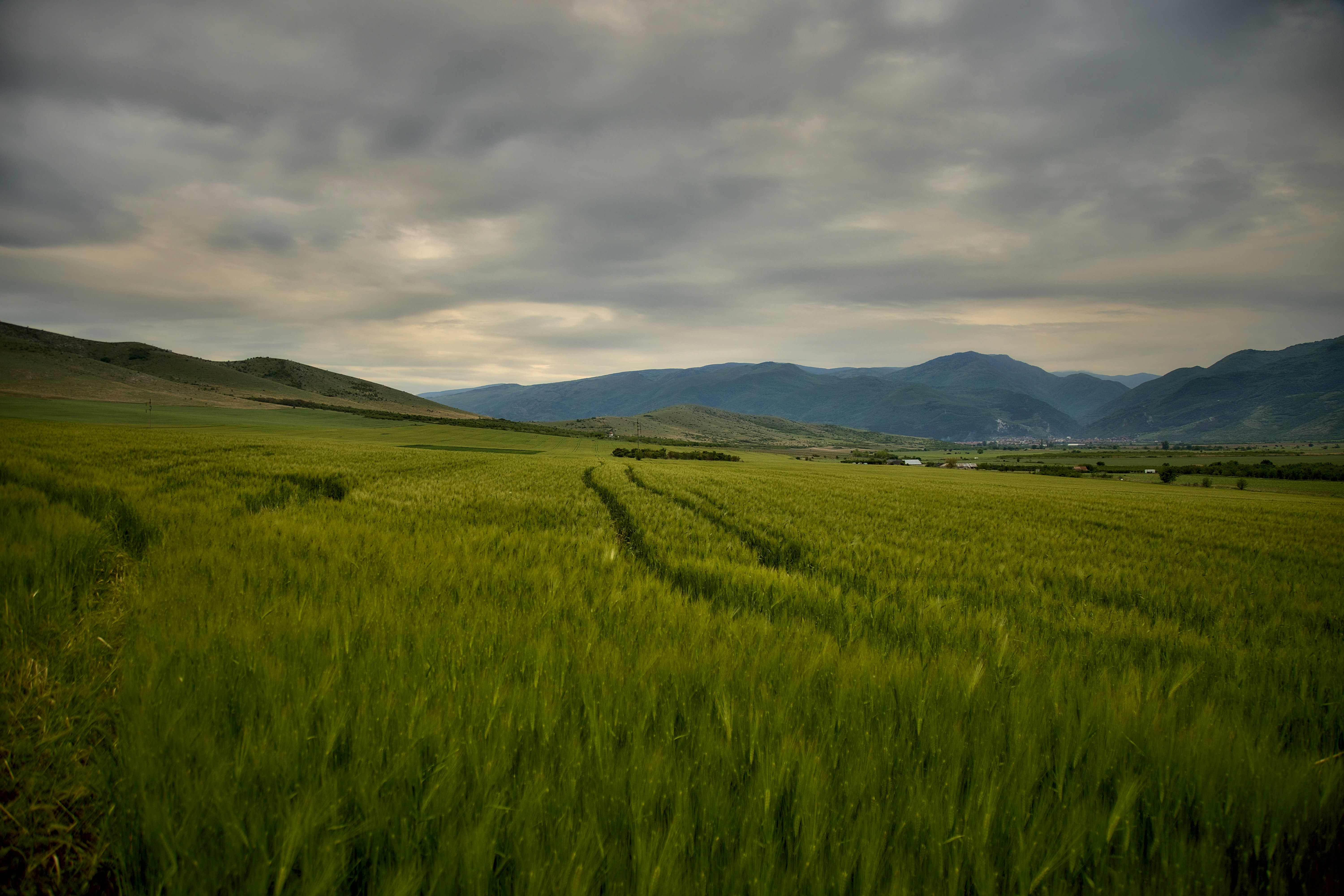 Photo by blooddrainer