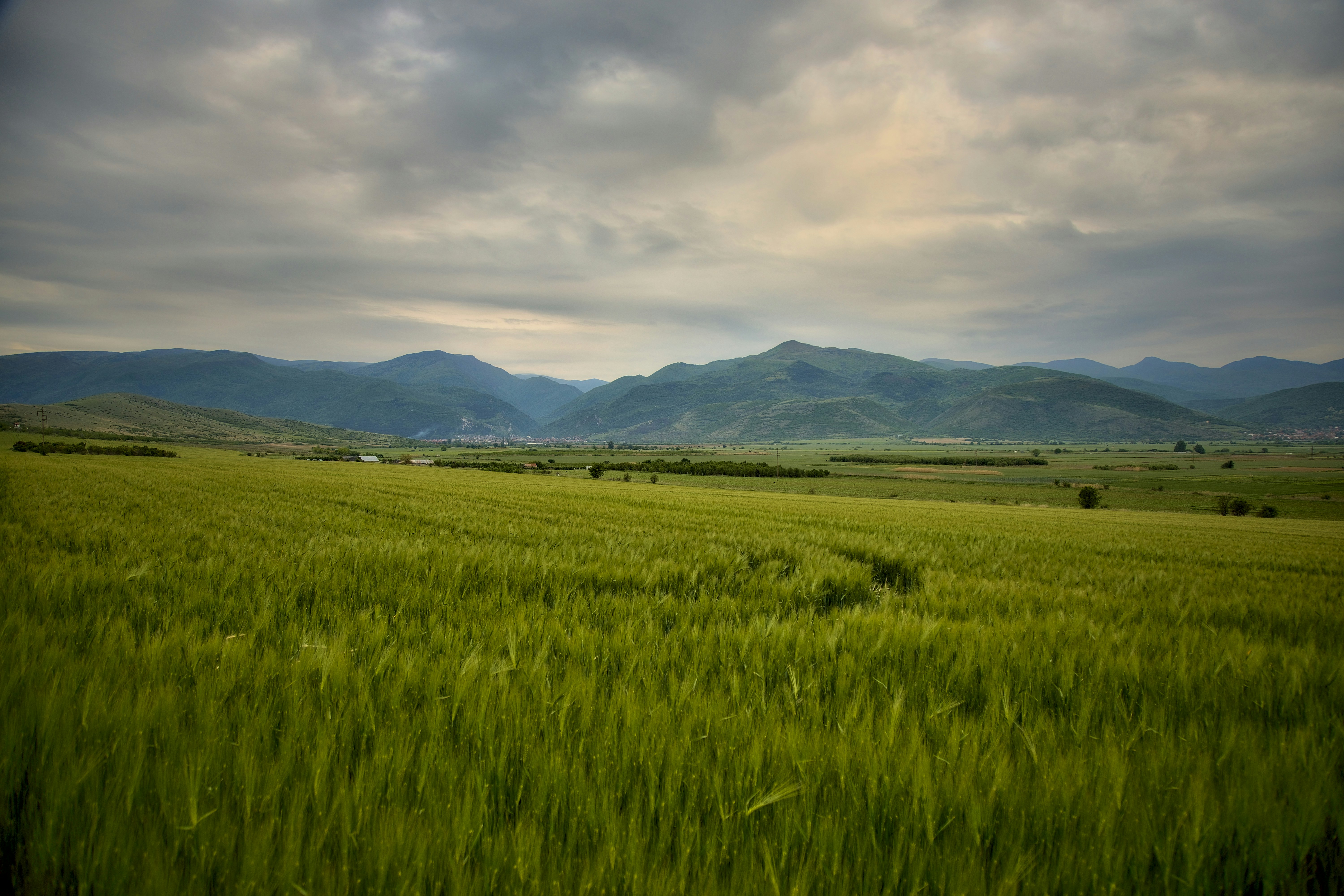 Photo by blooddrainer