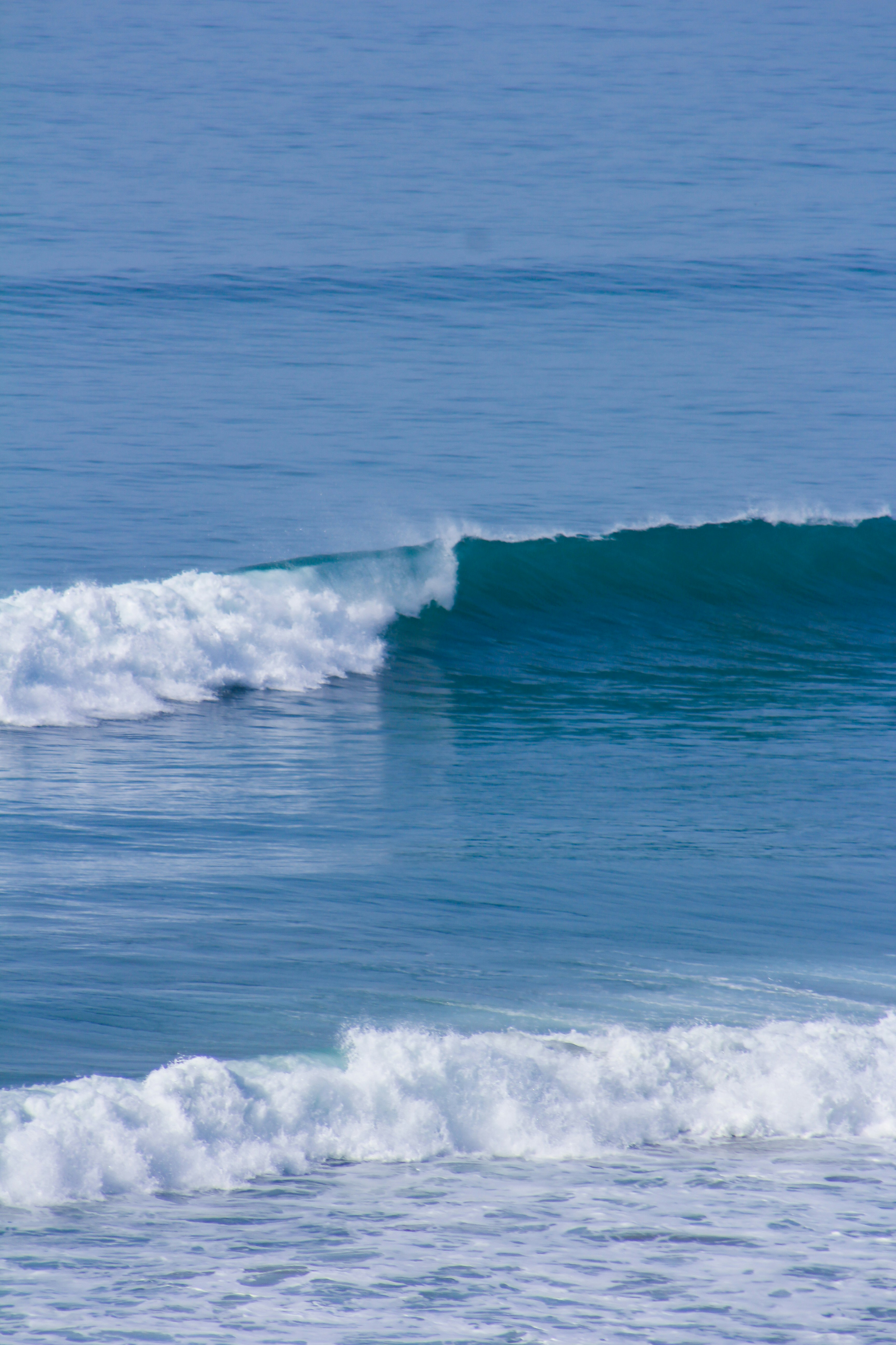 Photo by himalayanink