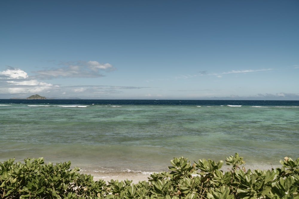 a view of the ocean from the shore of a beach