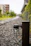 Modern outdoor light fixture illuminating a cozy garden path at dusk.