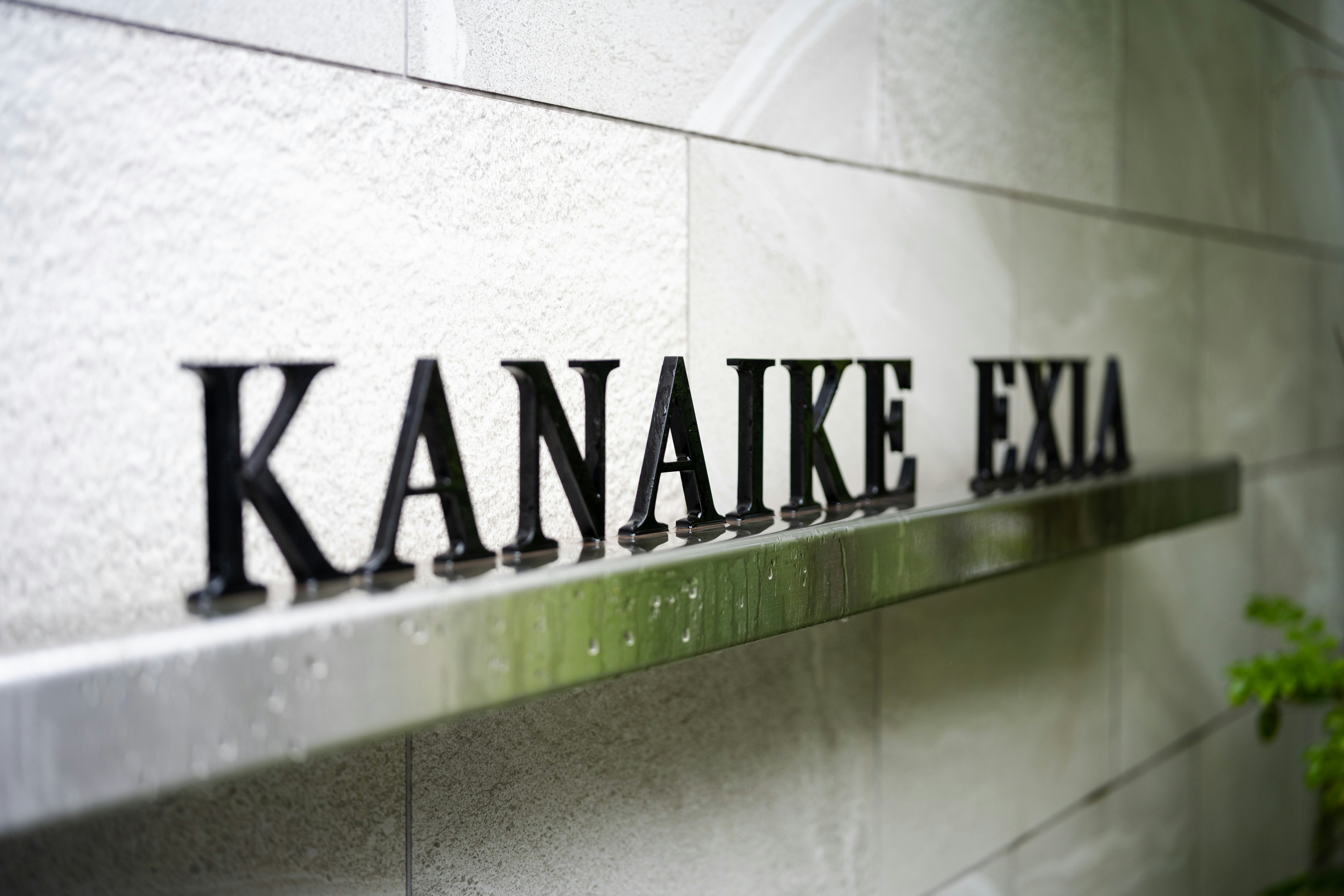 Private credit faces mounting stress as Moody's downgrades KKR fund to junk