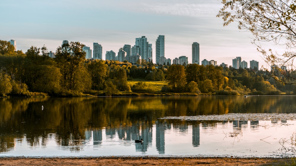 Un plan d’eau avec une ville en arrière-plan