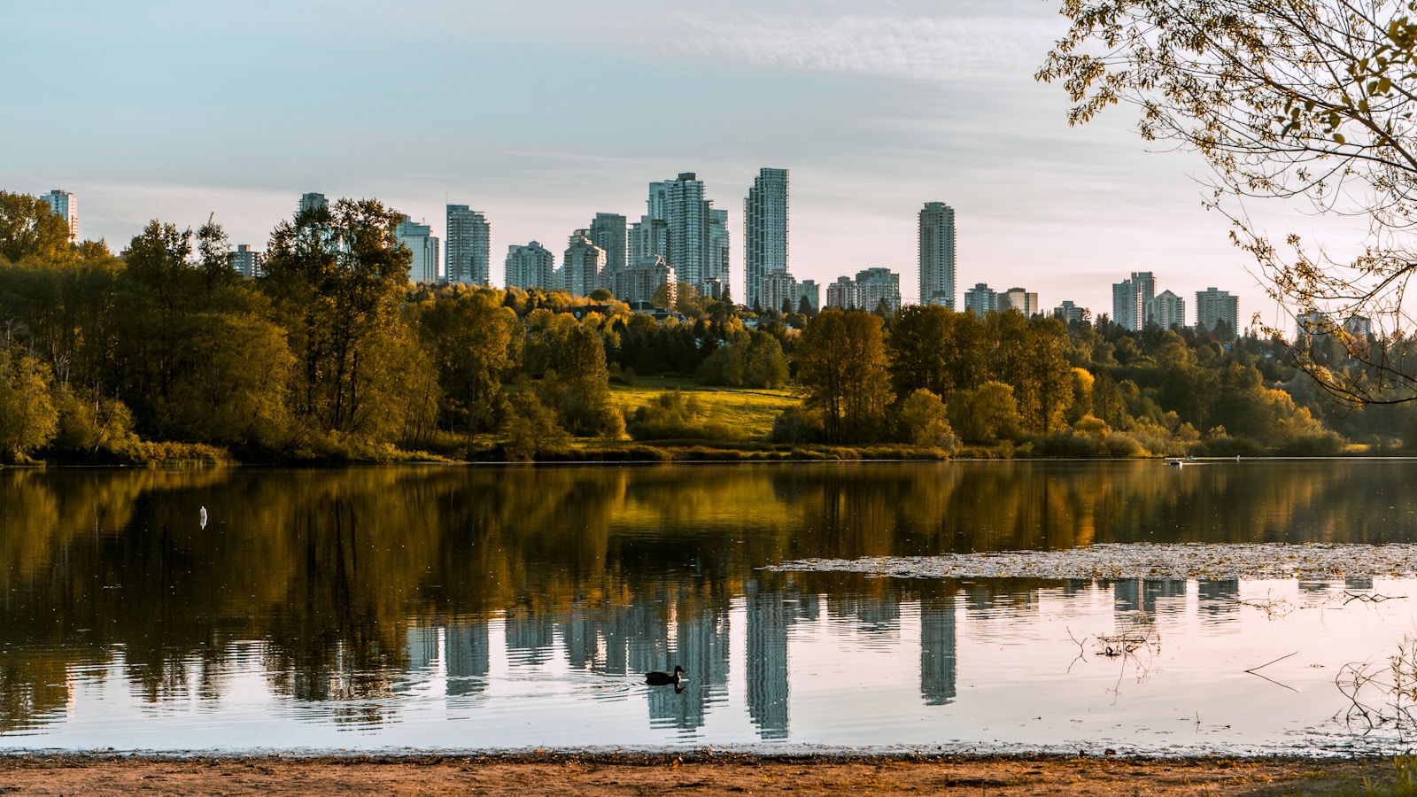 Burnaby Real Estate Market Update — September 2025