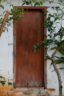 an old wooden door with a tree in front of it