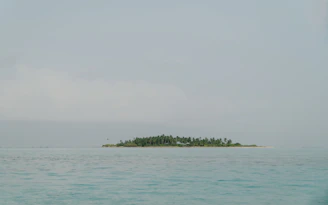 a small island in the middle of the ocean
