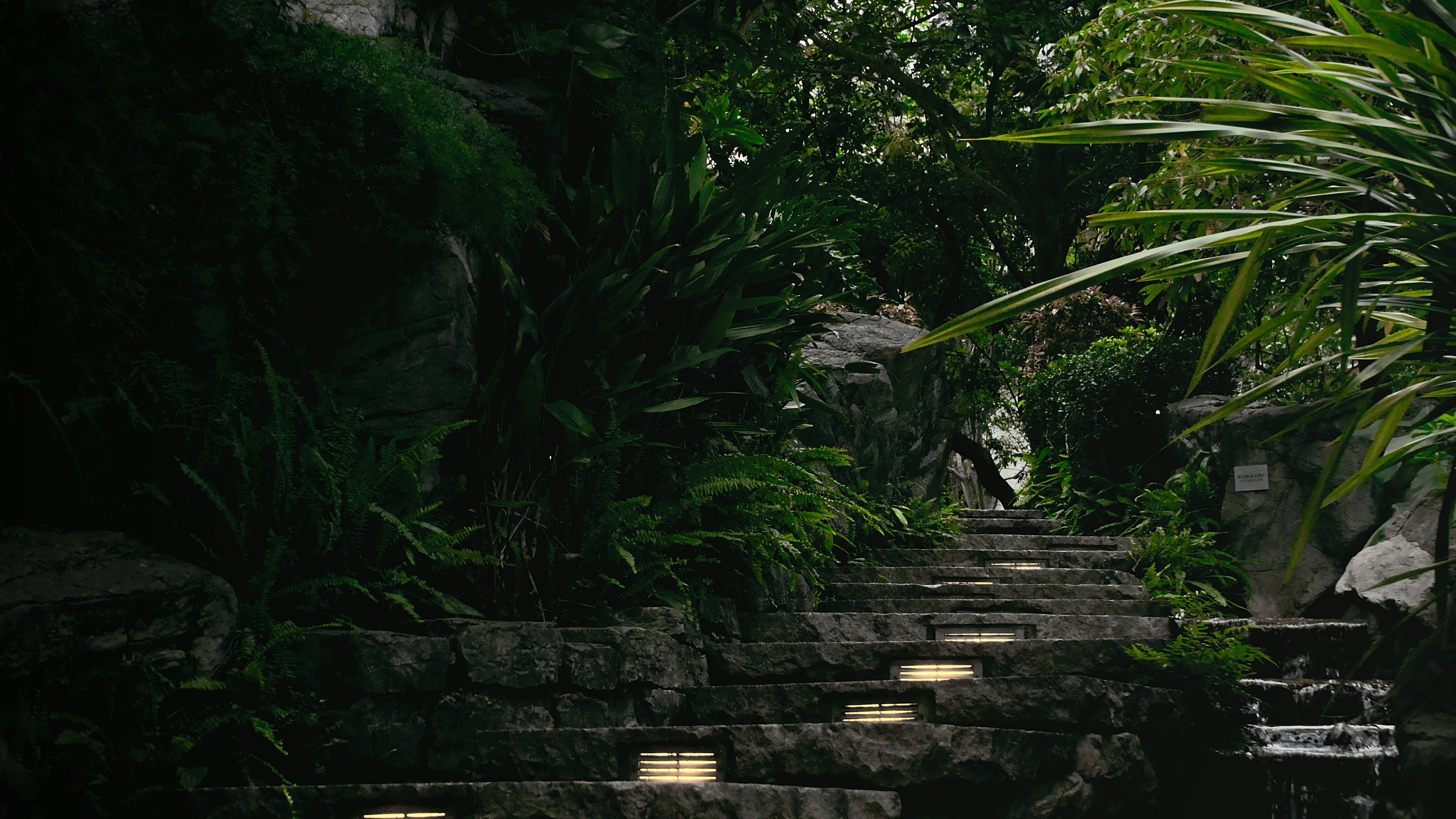 Photo by darklight2021