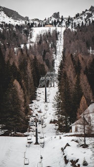 A ski lift ascending through a forested mountain area with snow-covered ground and rocky peaks in the background. Evergreen trees surround the lift path, creating a contrast with the white snow.