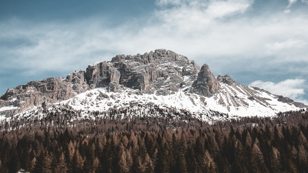 a snow covered mountain with pine trees in the foreground