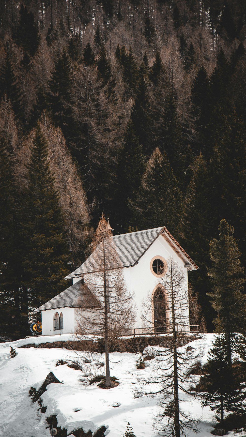 a church in the middle of a snowy forest