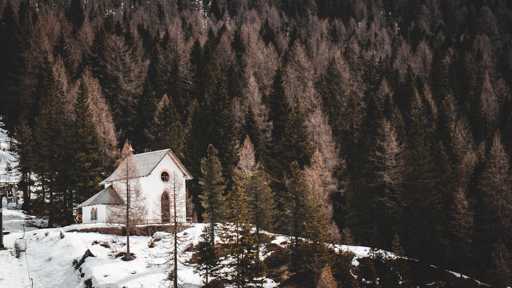 a church in the middle of a snowy forest