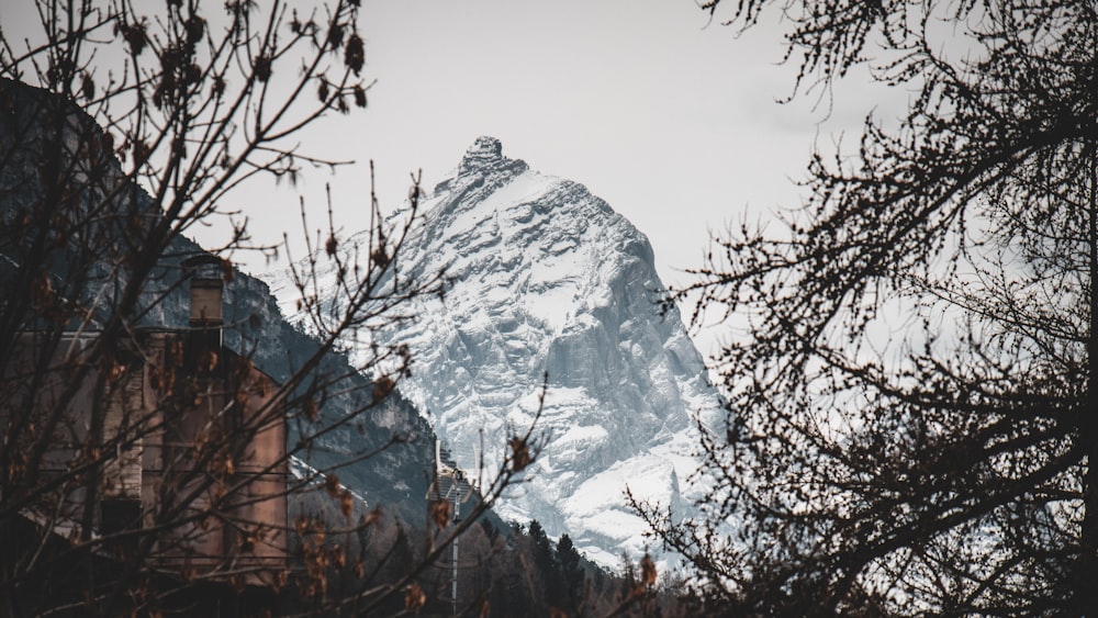 a snow covered mountain is seen through the trees
