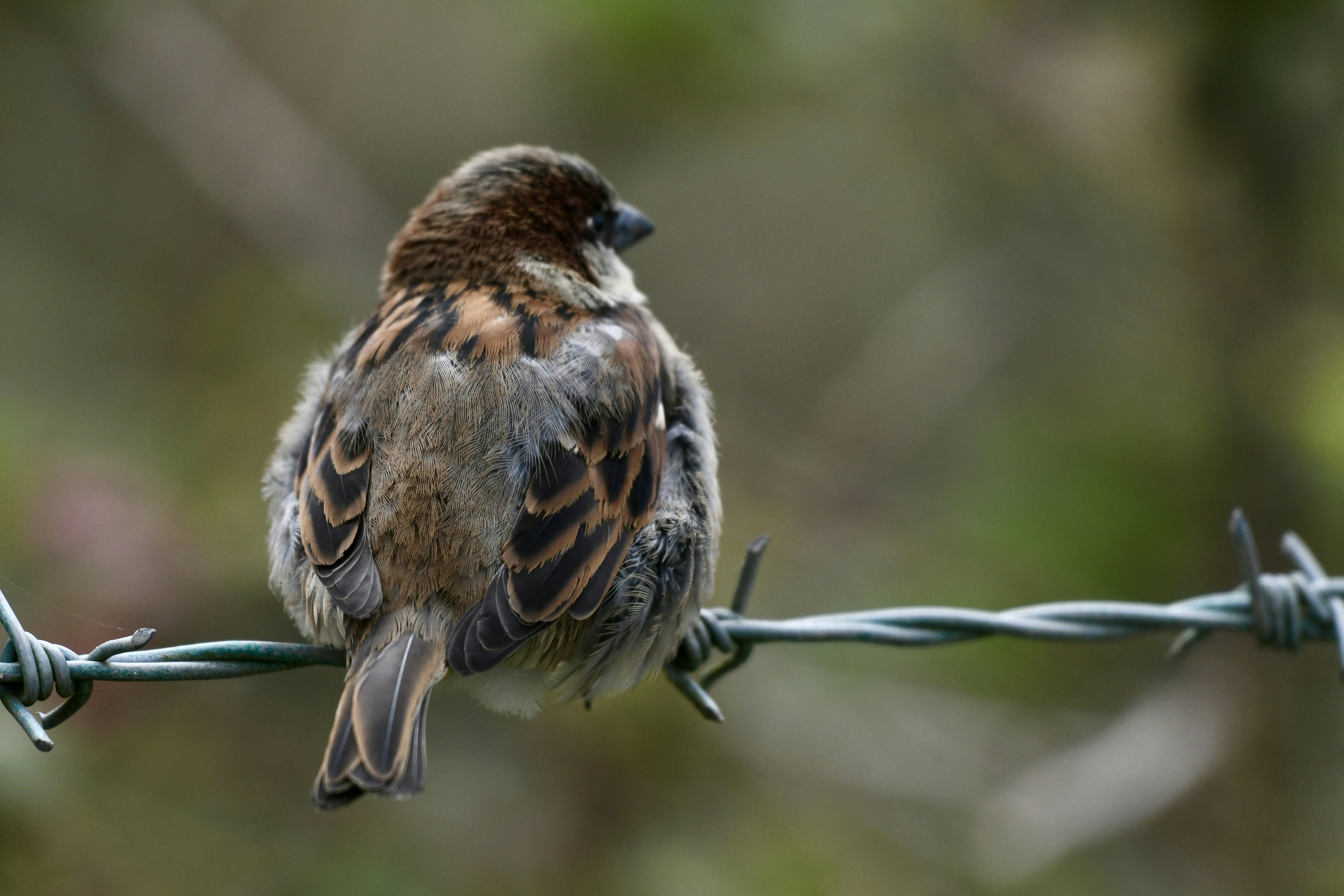 Photo by wrishi2004m