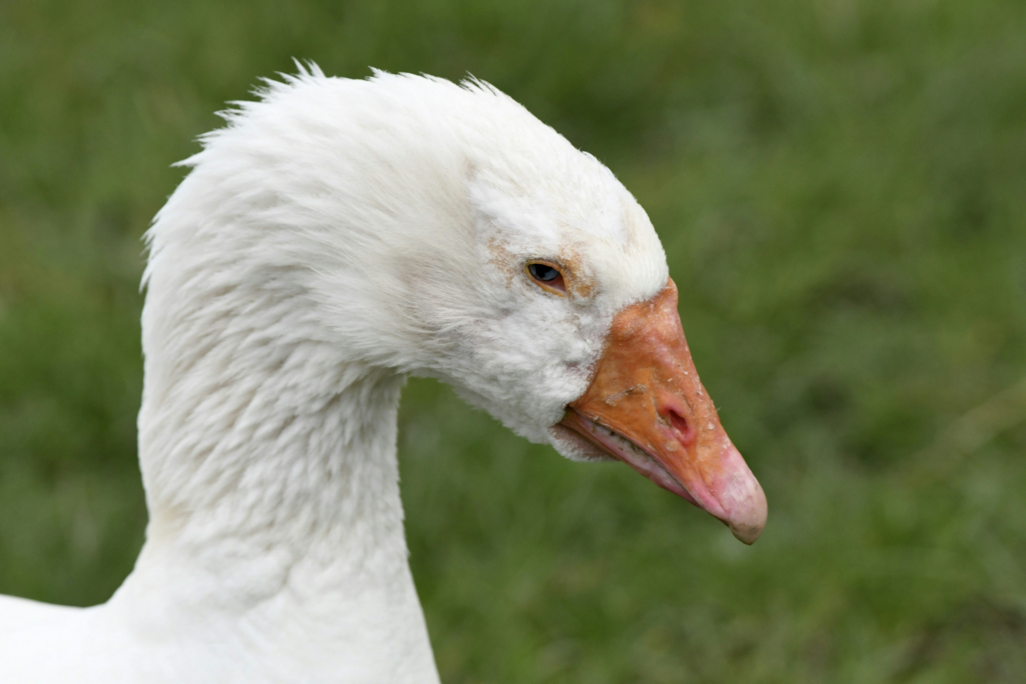 Photo by wrishi2004m