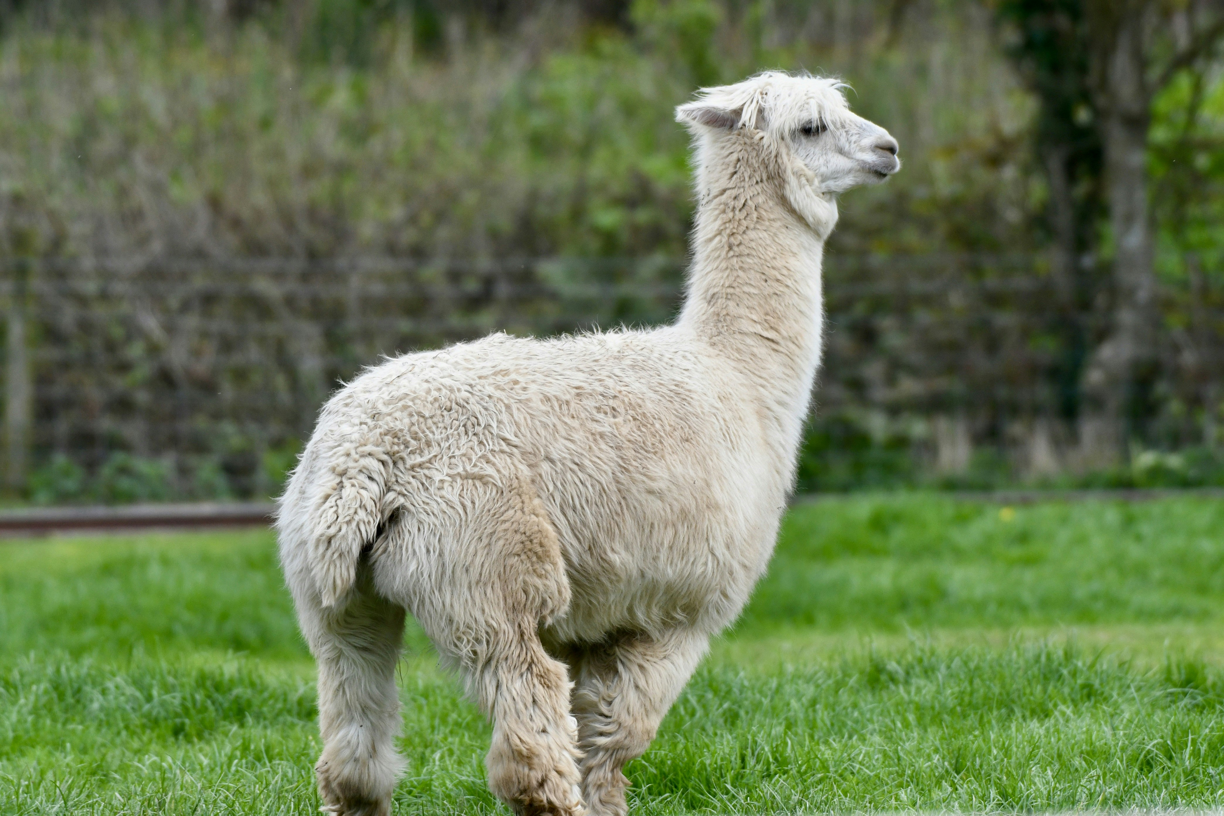 Photo by wrishi2004m