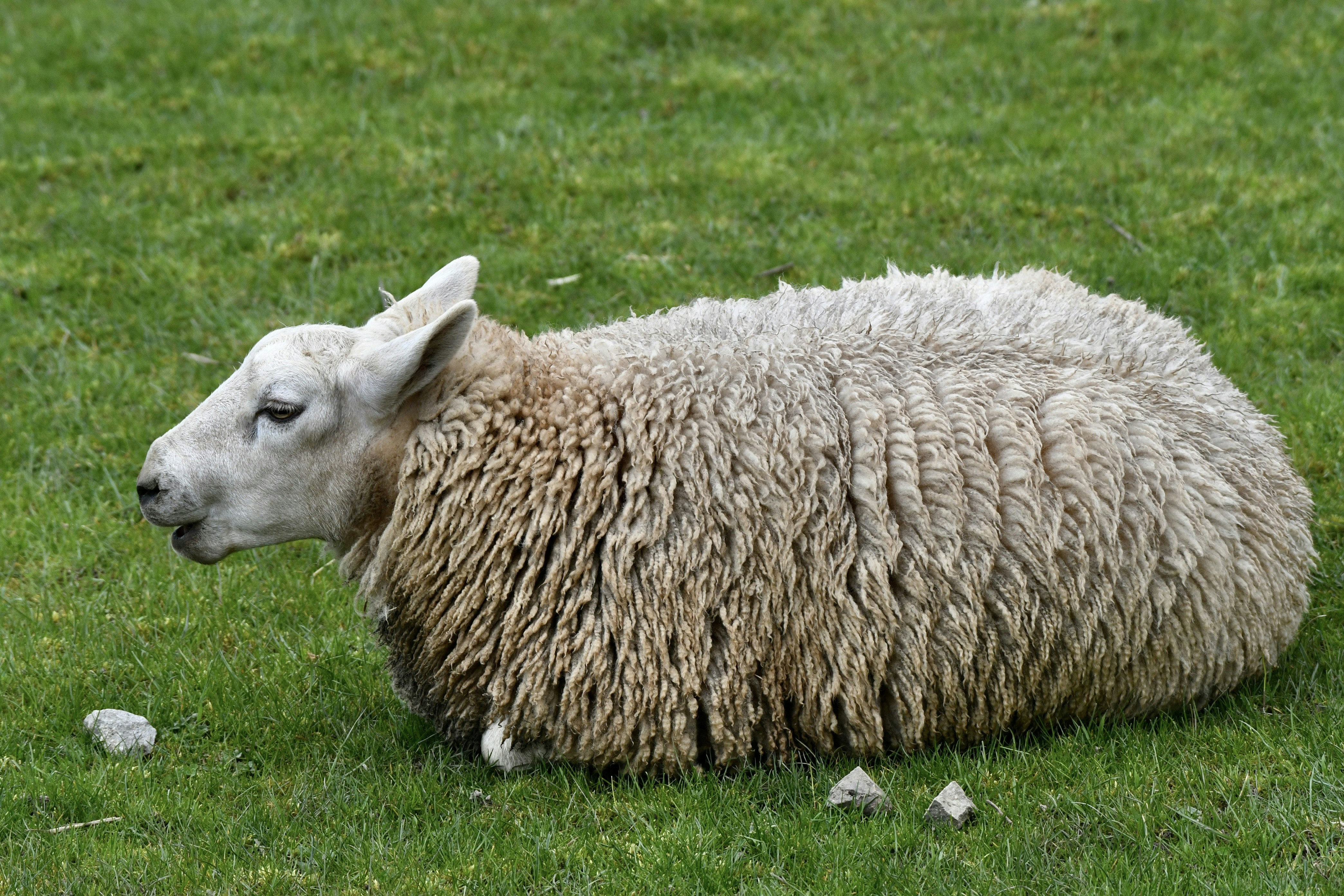 Photo by wrishi2004m