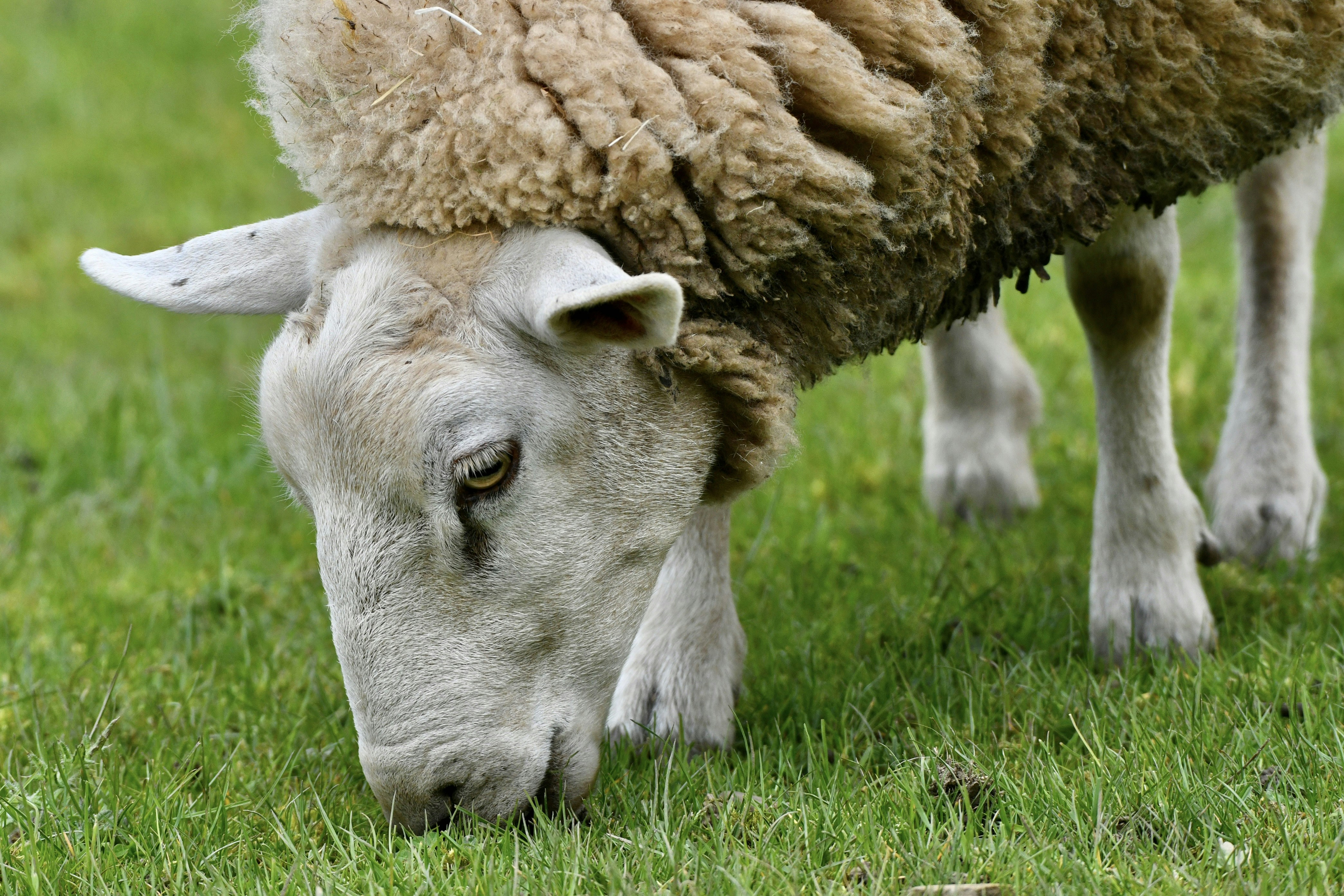 Photo by wrishi2004m