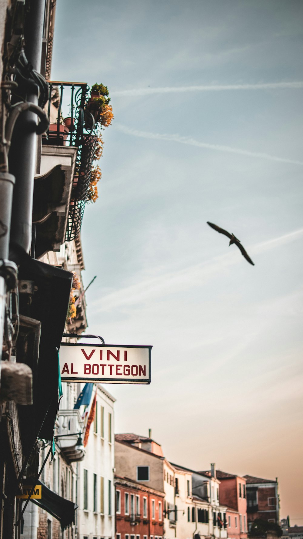 a bird is flying over a street sign