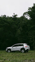 a white car parked in a field next to a forest