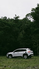 a white car parked in a field next to a forest