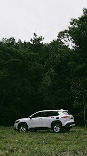 a white car parked in a field next to a forest