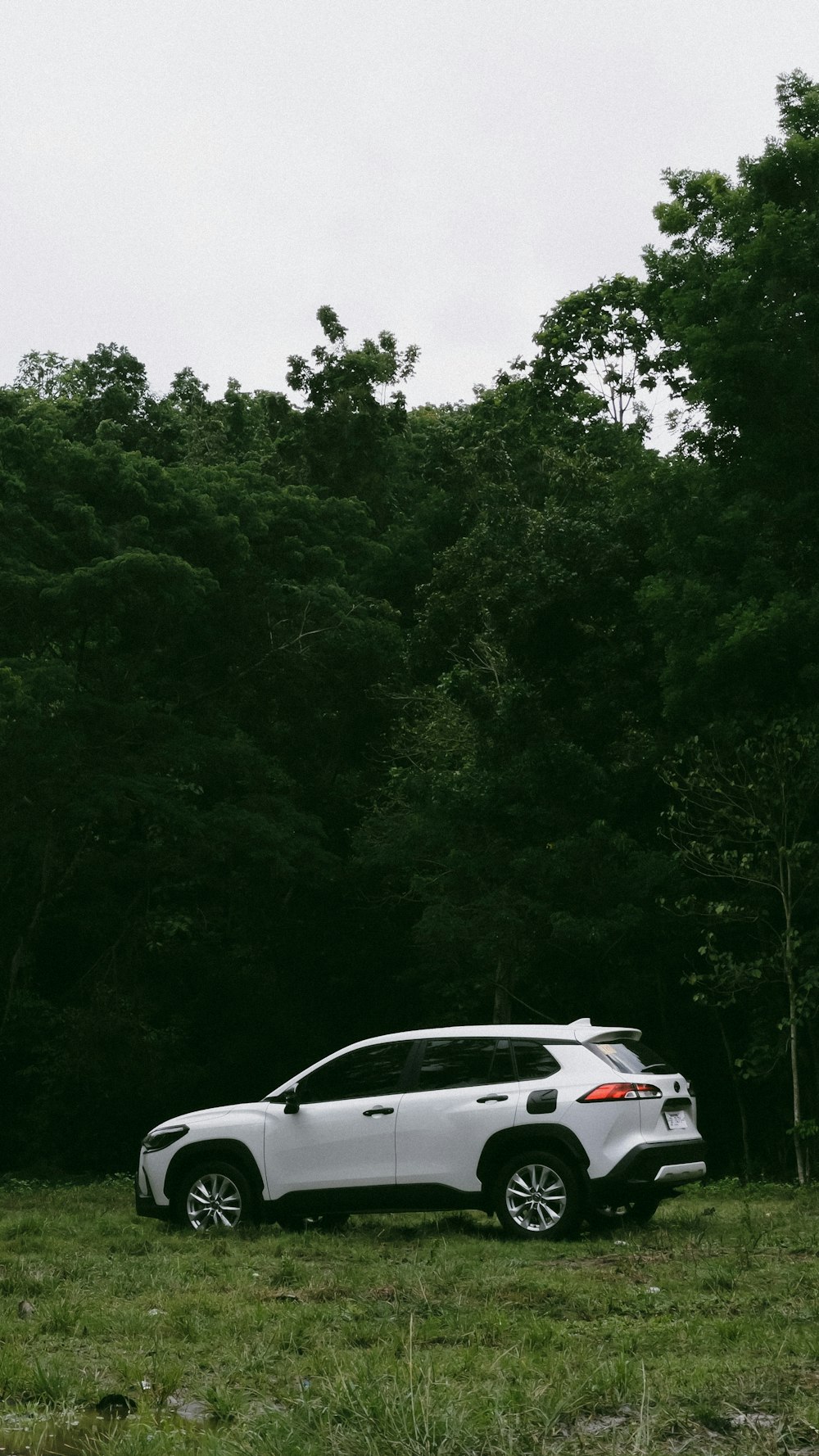 a white car parked in a field next to a forest