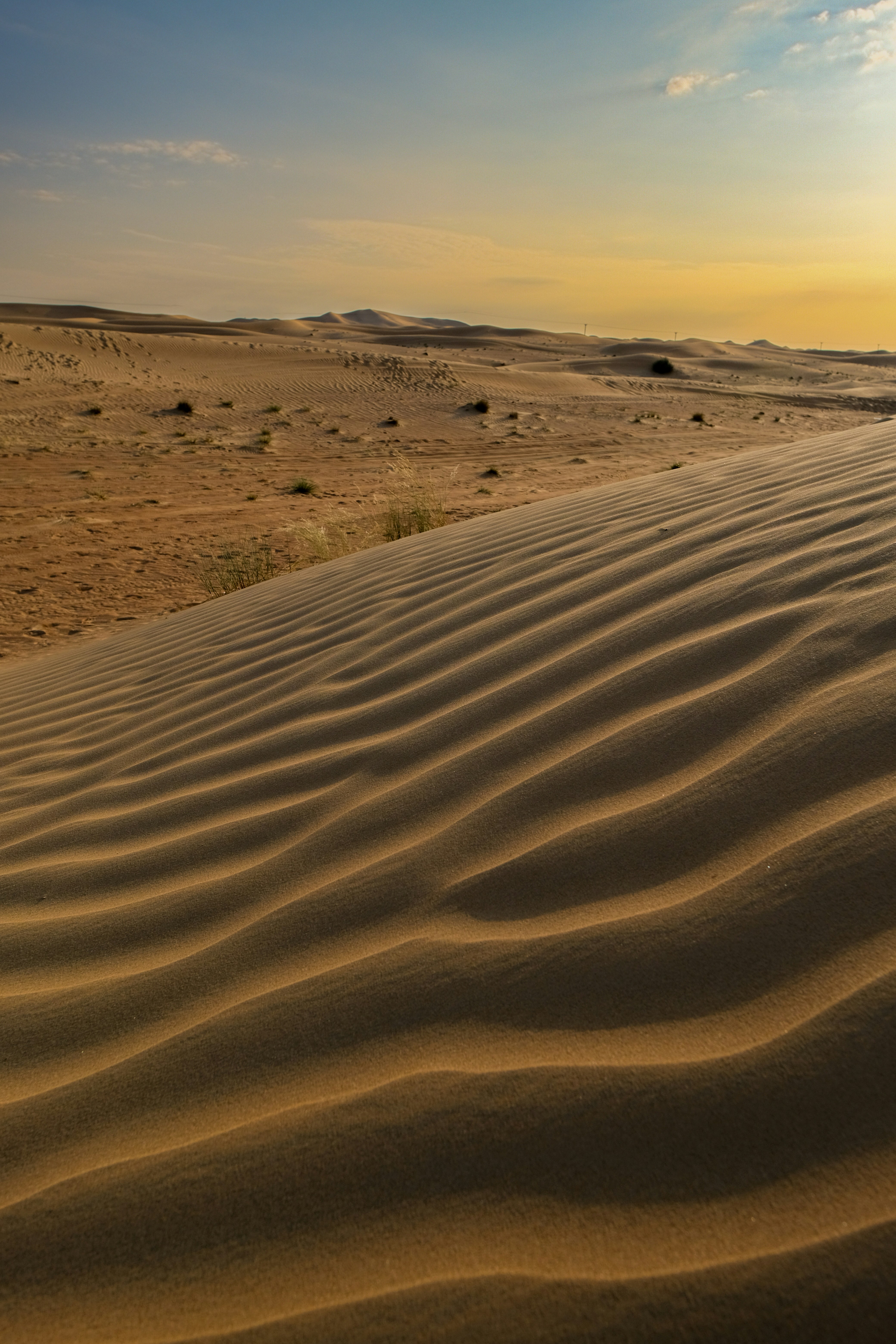 Photo by v91_photography