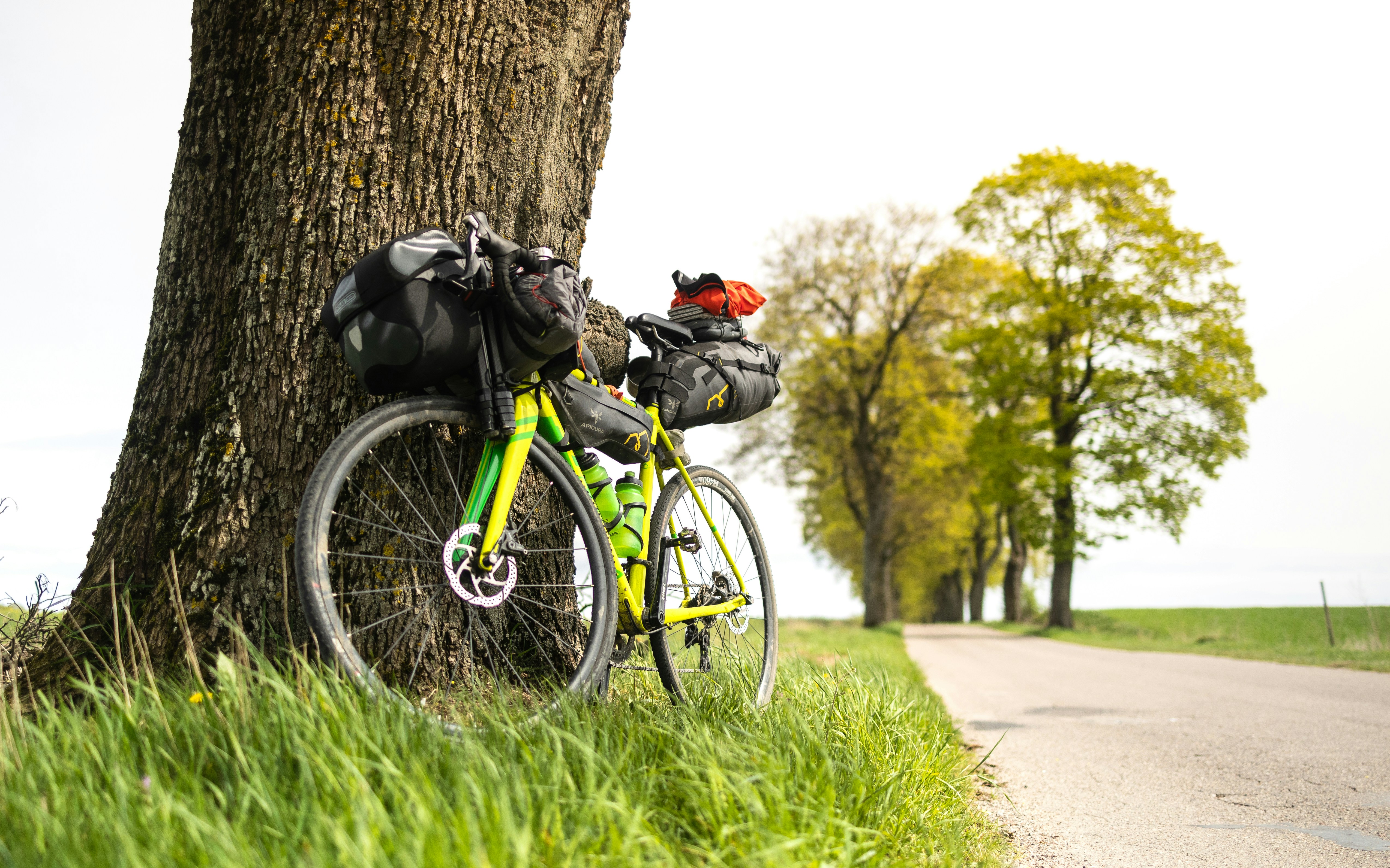 a bike parked next to a tree on a road