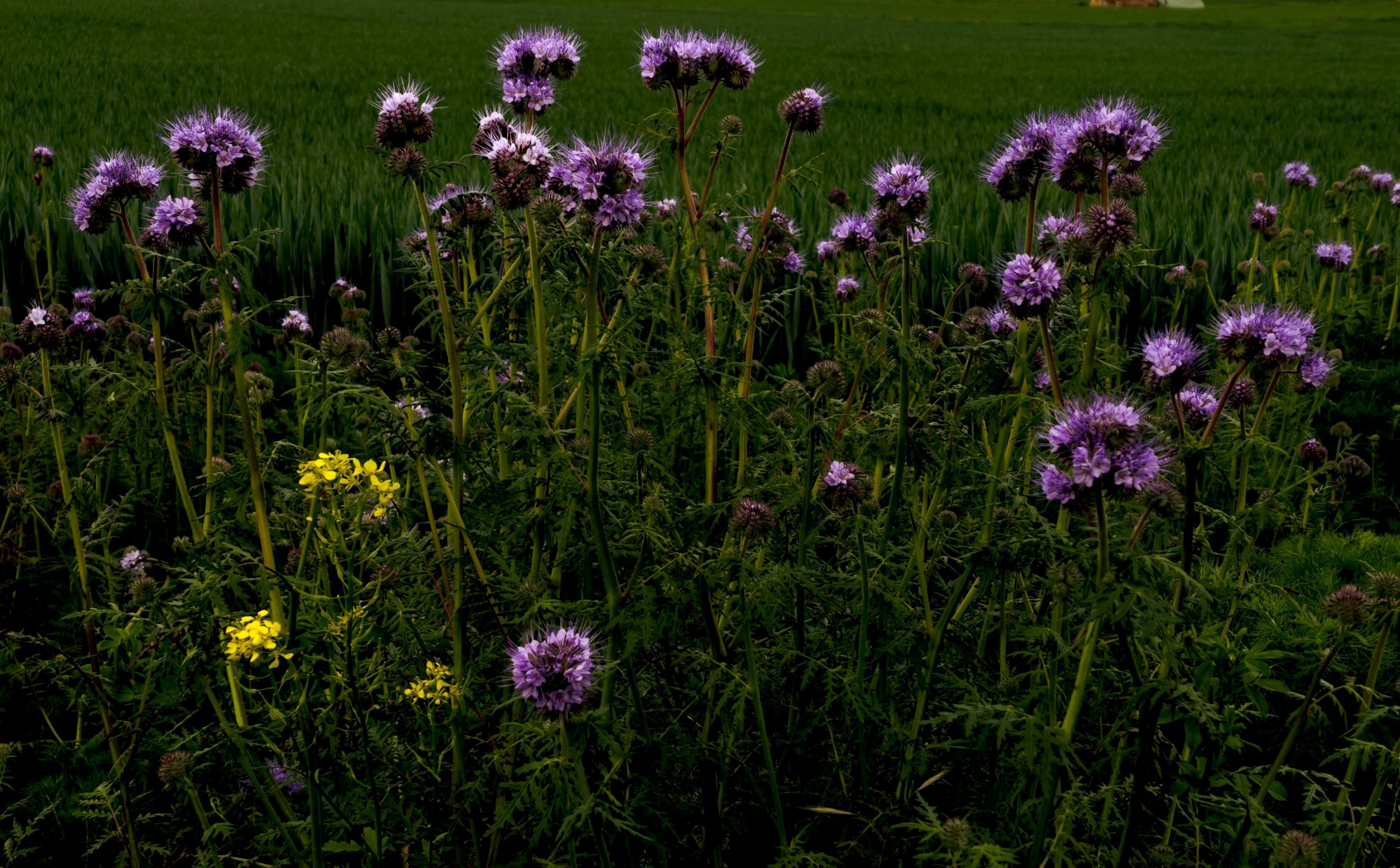 Photo by hdbernd