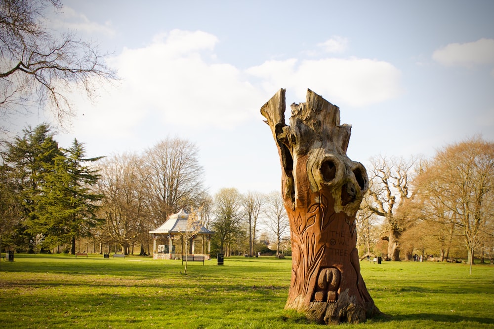a tree stump in a park with a house in the background