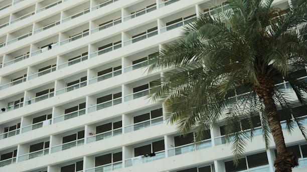A high-rise building with uniform balconies arranged in a grid pattern. A tall palm tree with lush green fronds is prominent in the foreground.