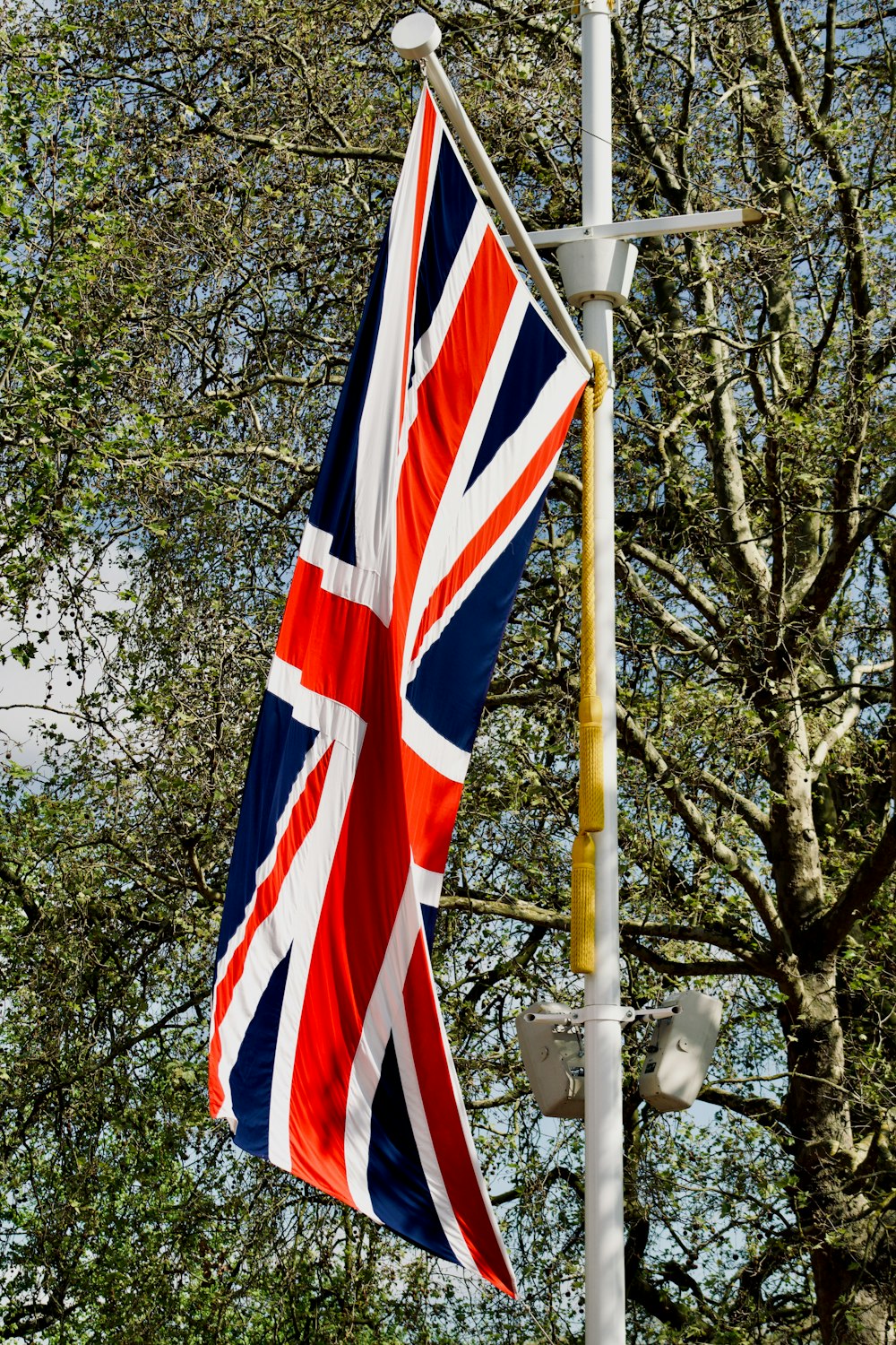 a british flag hanging from a pole next to a tree