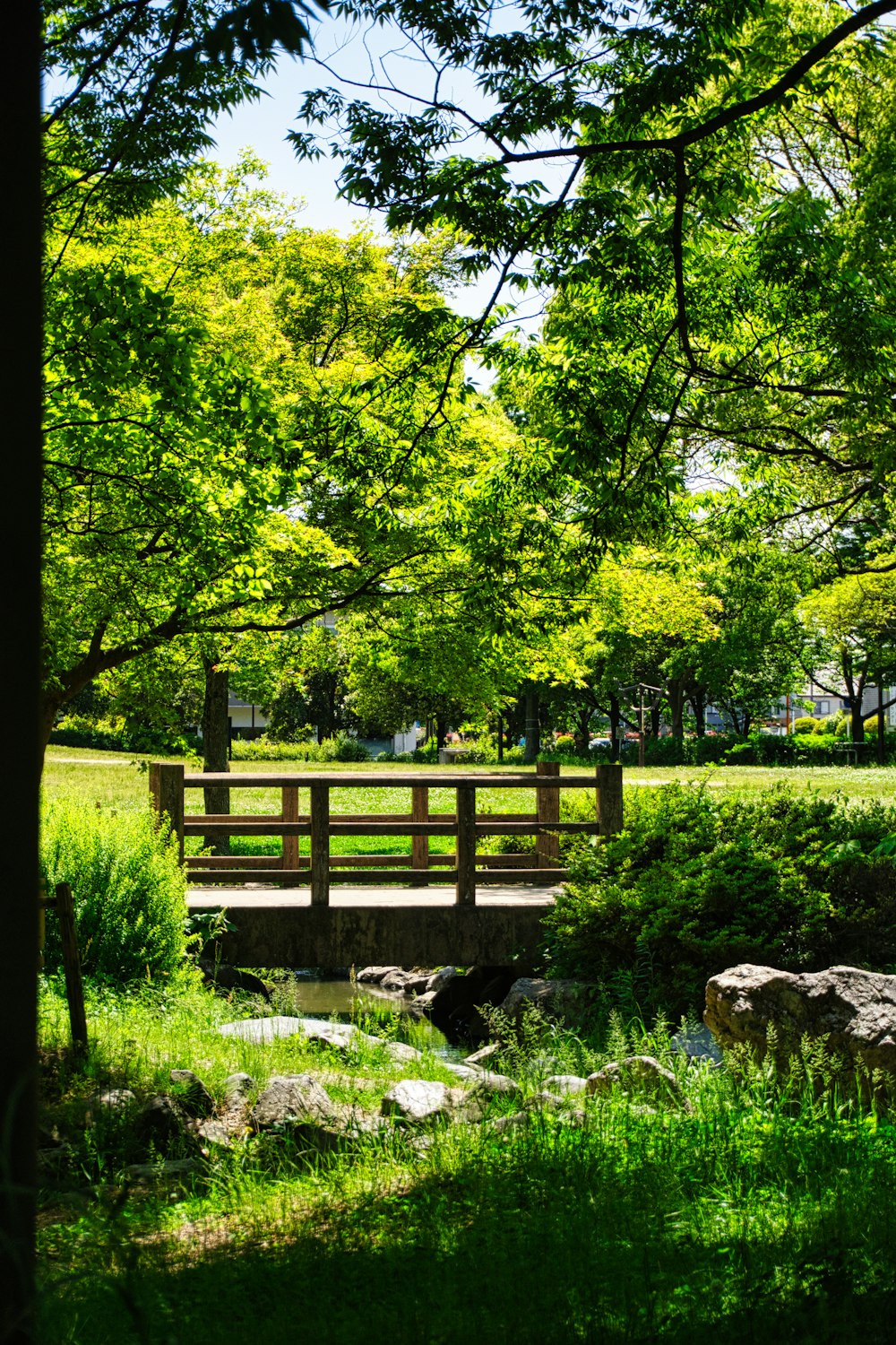 a wooden bench sitting in the middle of a lush green park