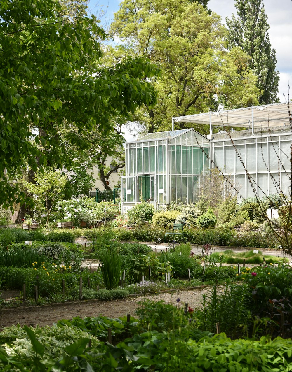 a garden with lots of plants and a building in the background